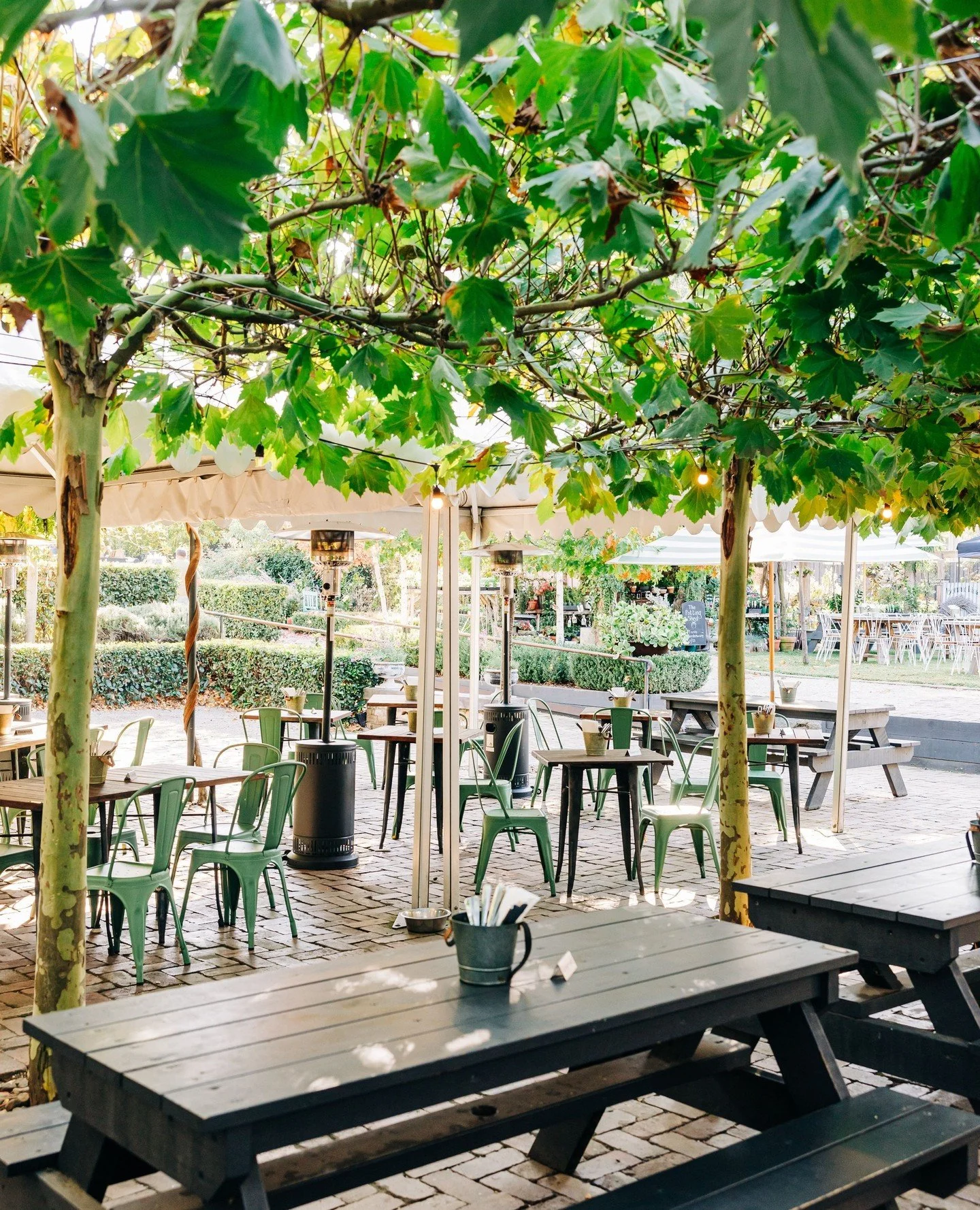 Cold drinks and dappled sunlight... our courtyard is ready for you.☀️🌿⁠
⁠
#TheSirGeorge