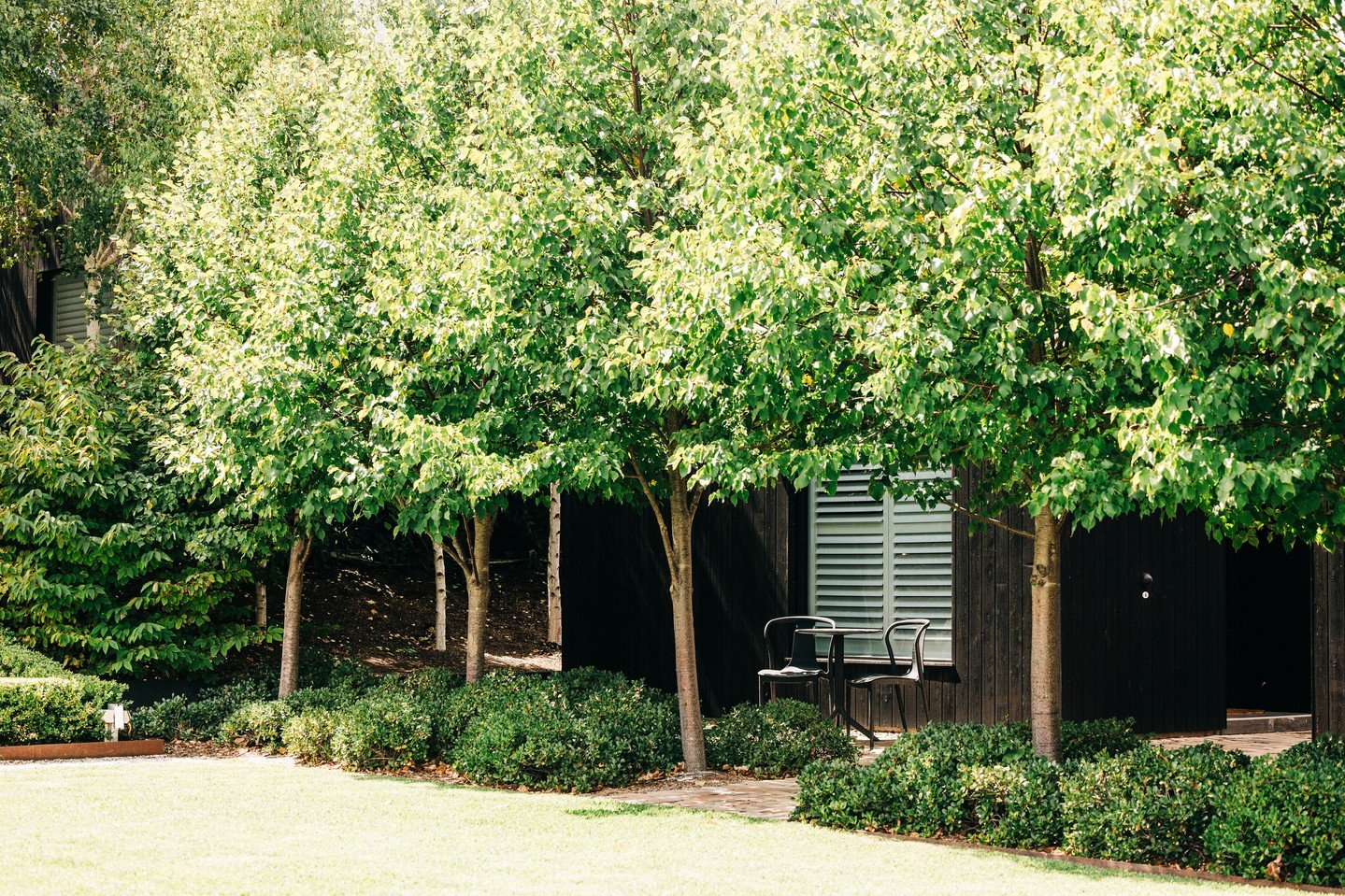 Stuck for a Christmas gift idea? Vouchers can be used across our accommodation or restaurant and bar, the perfect present for anyone who loves relaxation and great food &amp; wine. 🖤⁠
⁠
Purchase online now.⁠
⁠
#TheSirGeorge