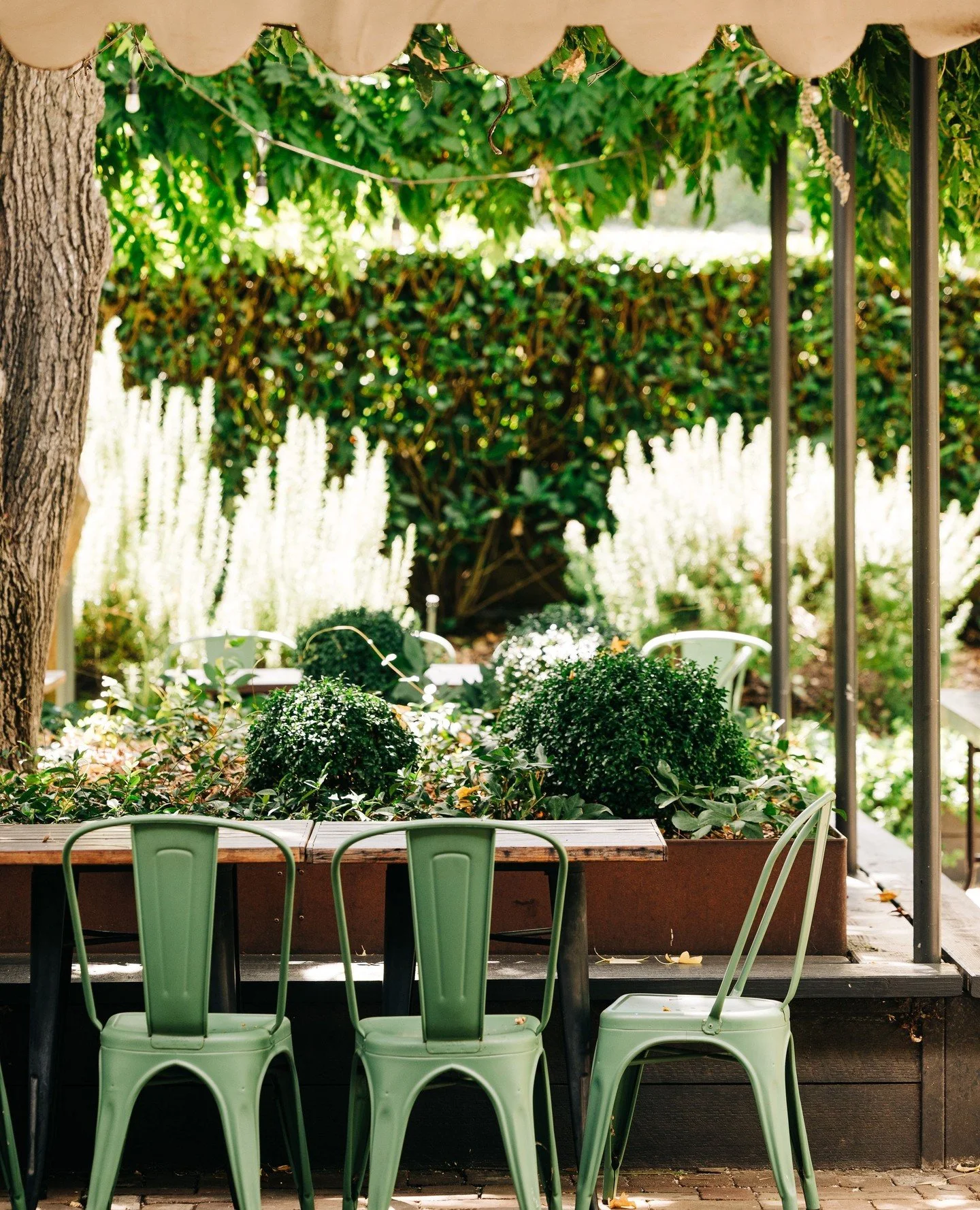 And just like that another year quickly rolls by, we can't believe it's Christmas Eve! We're thrilled to be OPEN all day and tonight for dinner - we look forward to welcoming you! 🖤⁠
⁠
Please be kind to our staff who are working hard these holidays 