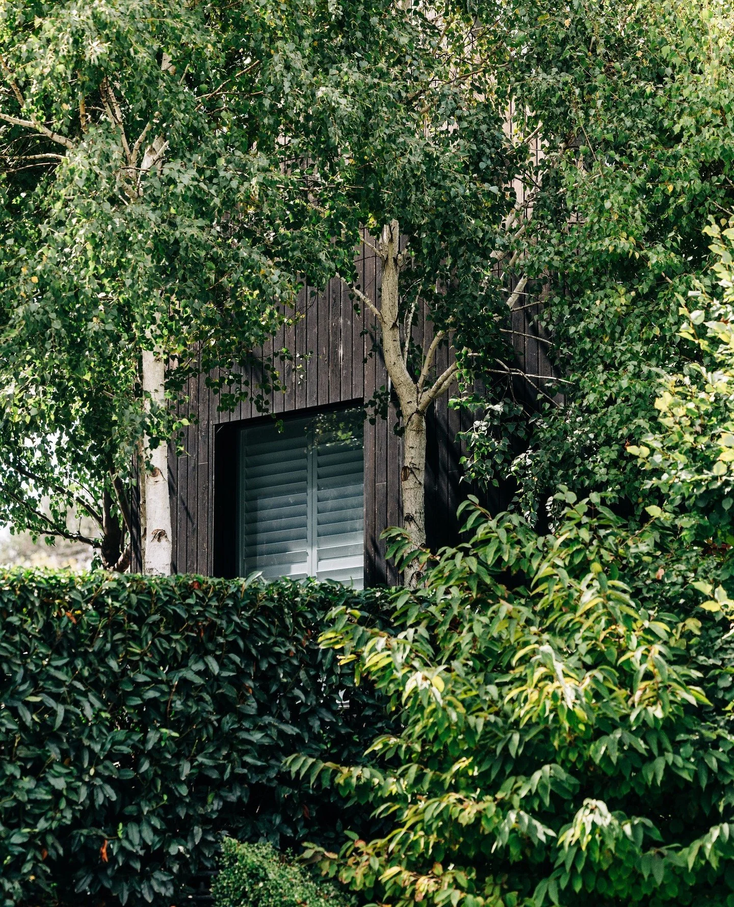 Framed by greenery, your country escape awaits...🍃🖤 Book your stay via the link in bio.⁠
⁠
#TheSirGeorgeJugiong