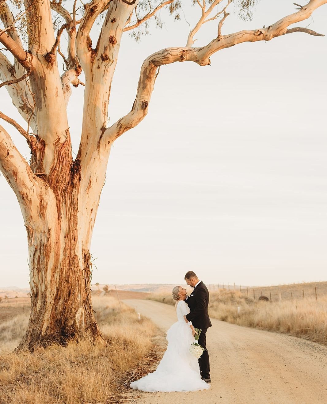 Your fairytale day awaits in the rolling hills of Jugiong...⁠
⁠
⁠
⁠
#AmandaandDale⁠
#TheSirGeorgeWeddings⁠
⁠
Photographer: @bgphotographyco