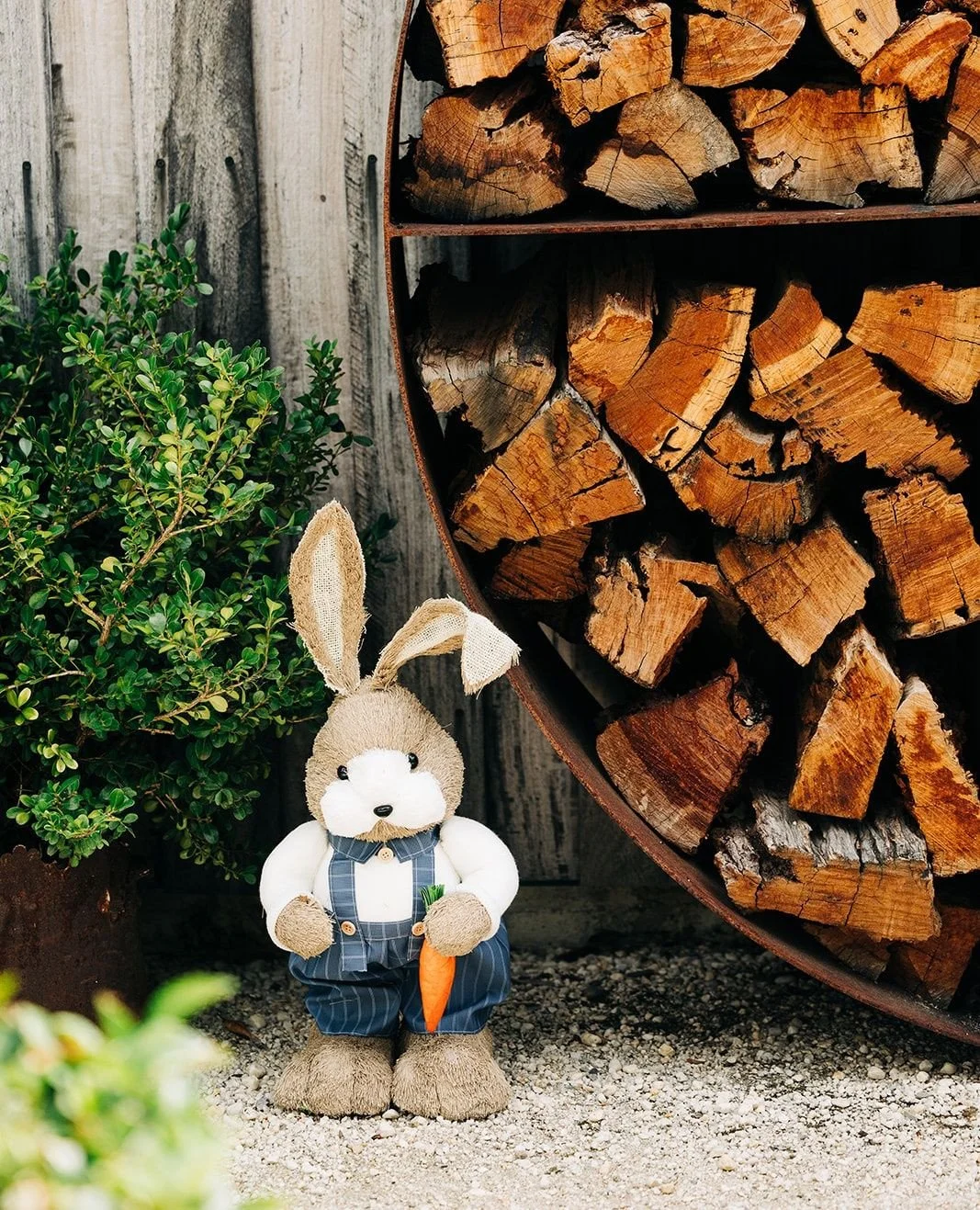 Easter long weekend? Don't miss out on spending it with us at The Sir George. ✨🐰⁠
⁠
Autumn in Jugiong brings the most beautiful crisp air, golden sunlight and the perfect excuse to indulge in long lunches that roll into relaxed afternoons and cosy n