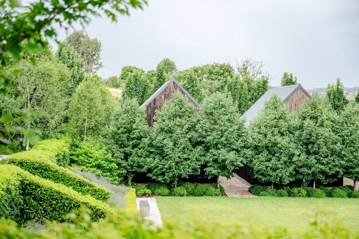 An opportunity to full check-out and reset. 🌳⁠
⁠
#TheSirGeorge⁠
⁠
⁠
⁠
📸 @moniquelovick.photography⁠