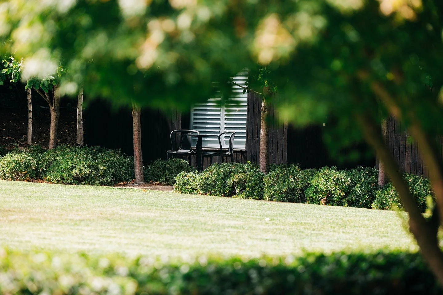 Calm garden moments you will never tire of. 🍃