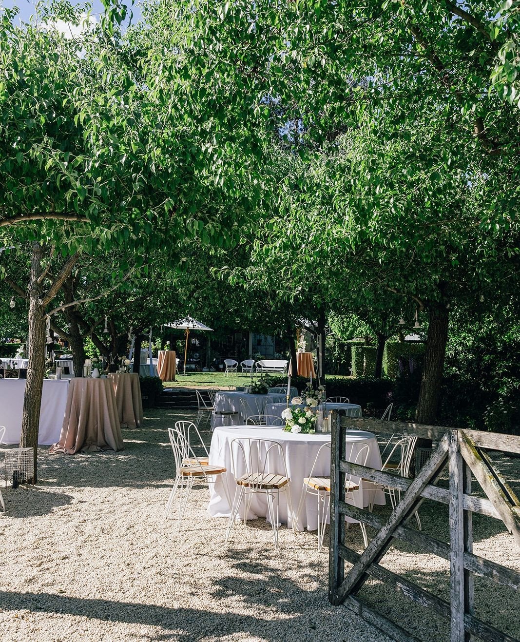 Host your next occasion amongst the beauty of our gardens or event spaces. If you're planning a special event or wedding, start the conversation with our events team | events@sirgeorge.com.au.⁠
⁠
#TheSirGeorgeJugiong