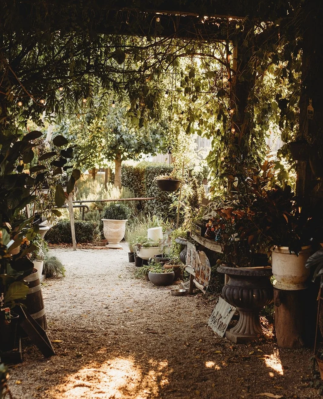 Our venue has plenty of little pockets of magic where your day can be perfectly captured 🖤⁠
⁠
⁠
⁠
⁠
#AmandaandDale⁠
#TheSirGeorgeWeddings⁠
⁠
Photographer: @bgphotographyco