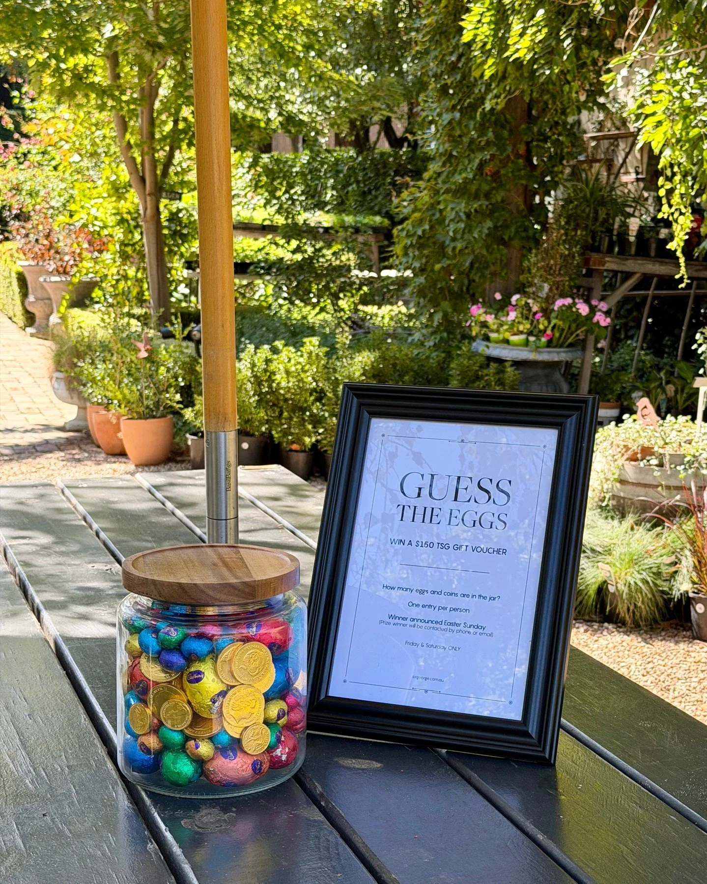 🐣✨🍫 How many choccys are hiding inside?⁠
⁠
Submit your guess in venue Good Friday or Easter Saturday for your chance to win a $150 Sir George gift voucher! ⁠
⁠
Winner announced Easter Sunday.⁠
(We will be in touch with the winner directly 🍀)⁠
⁠
#T