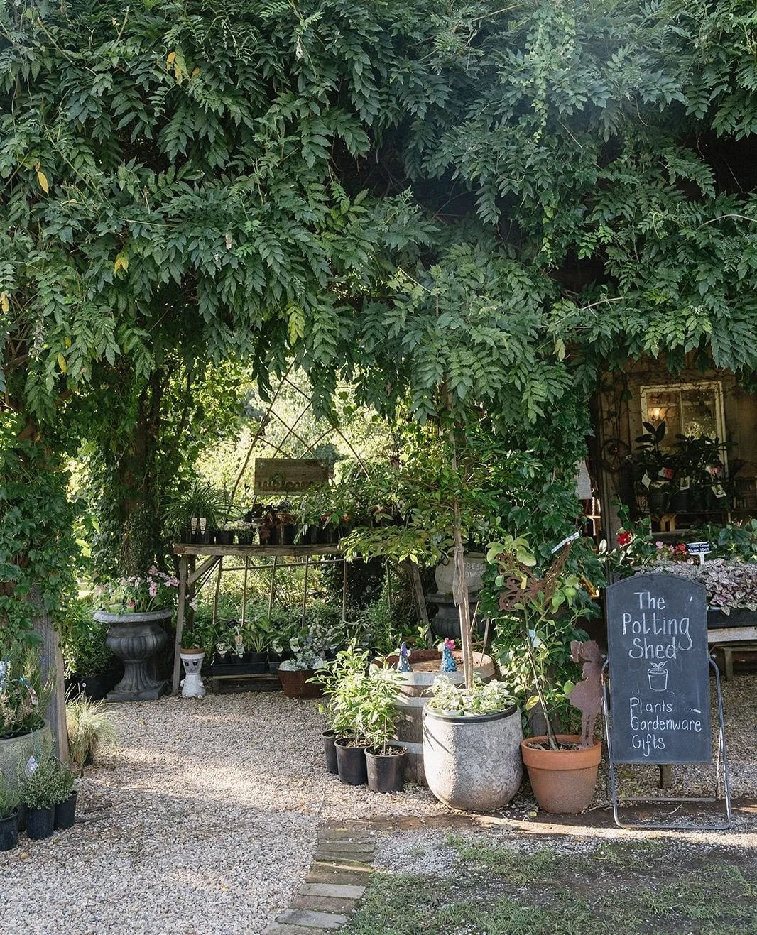 Reasons to wander a little longer... 🪴🌸⁠
⁠
⁠
〰️⁠
⁠
⁠
📸 @sophie_louphotography⁠
⁠
#hilltopsregion #thesirgeorgejugiong