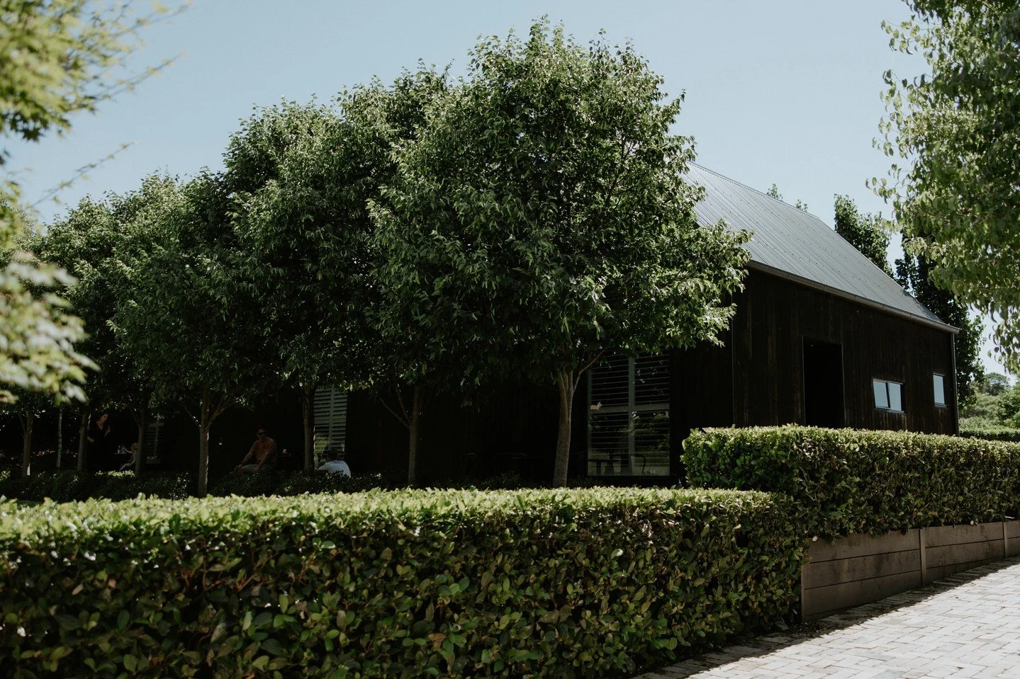 Our onsite accommodation makes it easy for a wedding to turn into a getaway! 🖤⁠
⁠
⁠
⁠
⁠
⁠.⁠
.⁠
.⁠
⁠
⁠
⁠
#TheSirGeorgeWeddings #WeddingsAtTheSirGeorge #JugiongWeddings