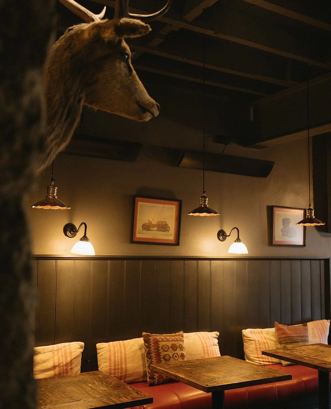 All good long weekends begin in a country bar. 🔥🥃⁠
⁠
⁠
⁠
⁠
〰️⁠
⁠
@sophie_louphotography