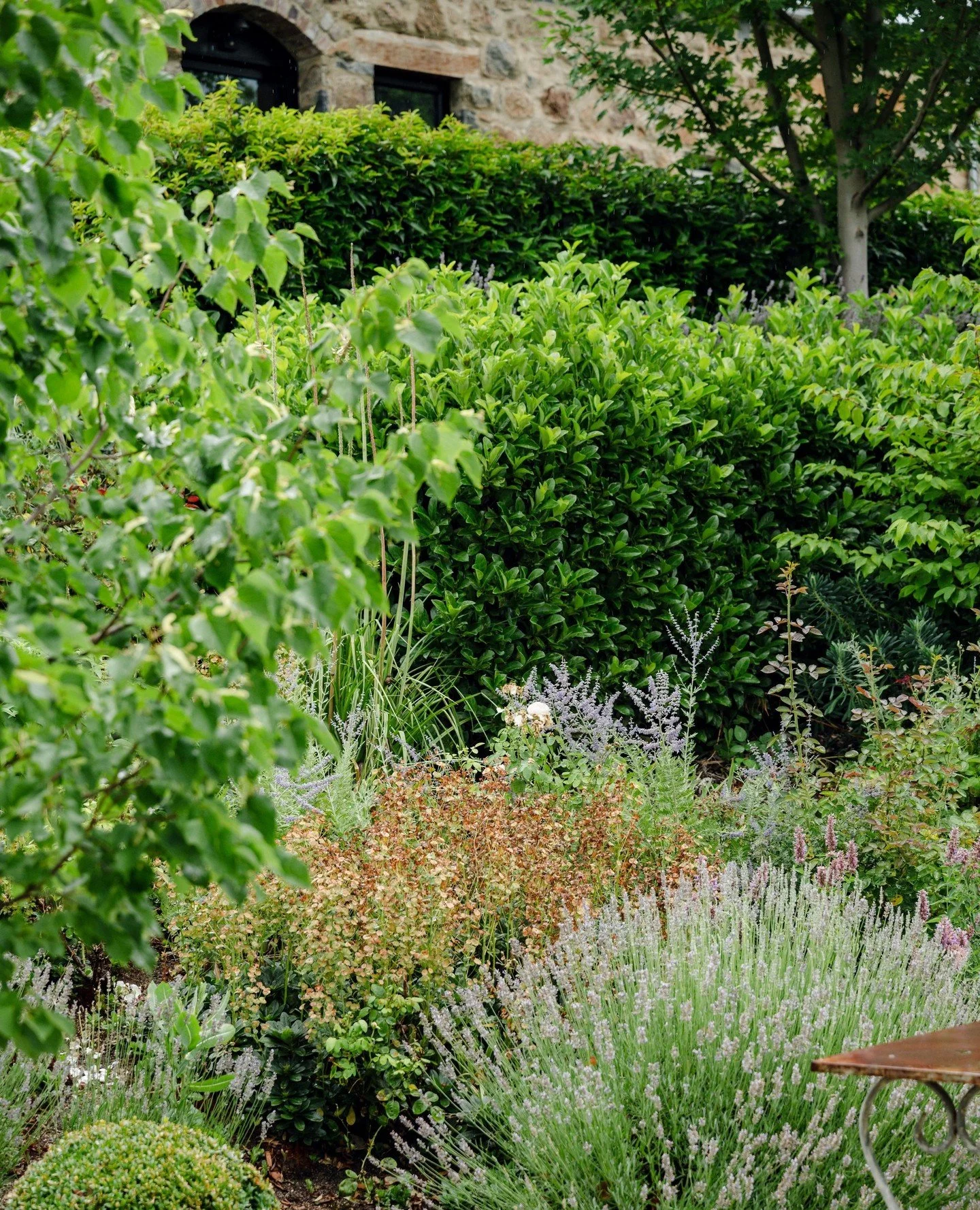 Every guest who wanders through our grounds can&rsquo;t help but pause and take it all in. The gardens here have a way of drawing you in, thanks to our incredible groundsman, Marty who truly takes such good care of every corner of the venue.⁠
⁠
No tw