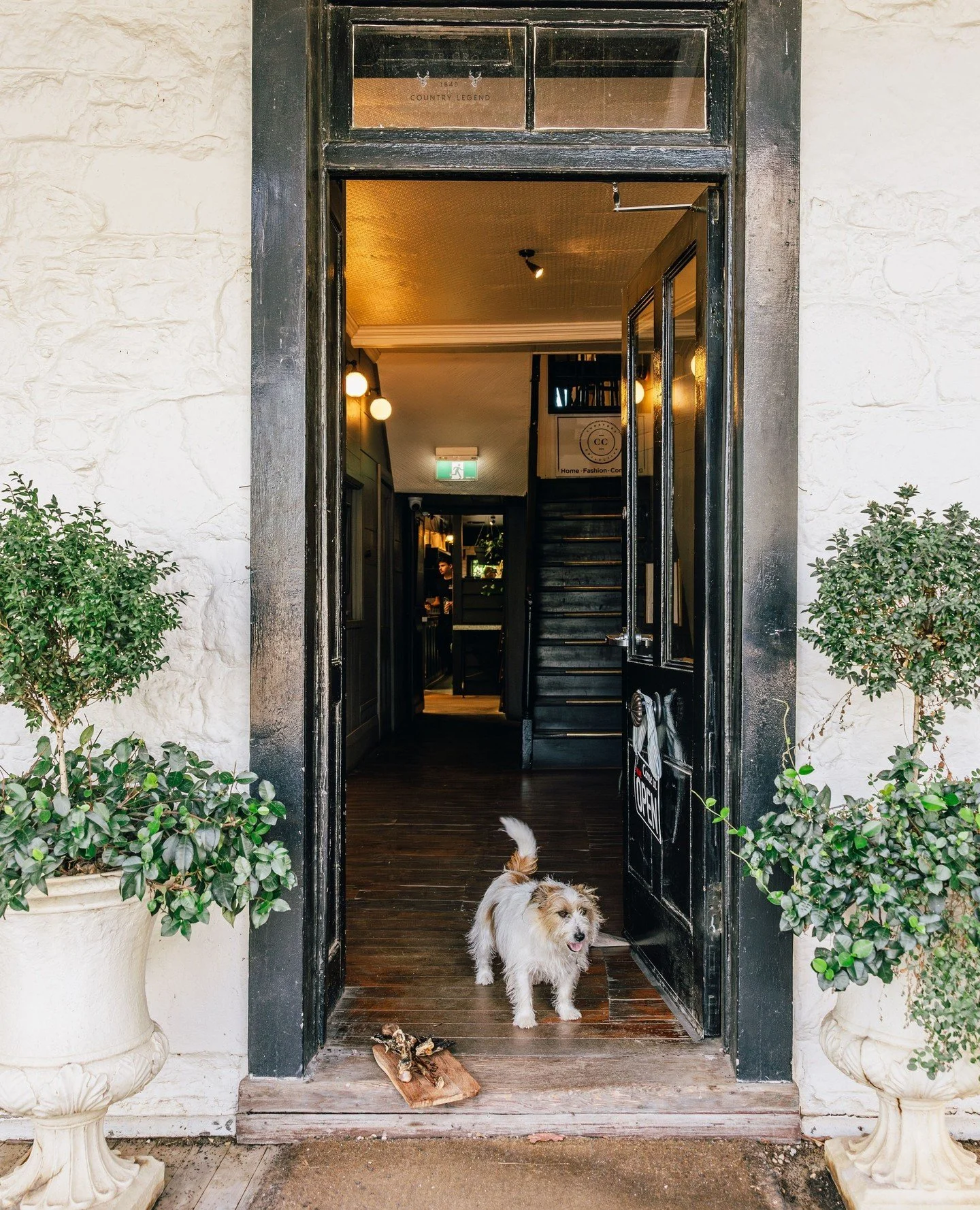 Furry friends welcome here! 🐾