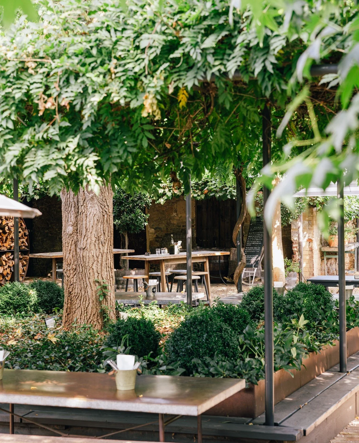 A little slower, a little quieter, a little more magical this time of year. 💭 Open 7 days for lunch &amp; dinner.