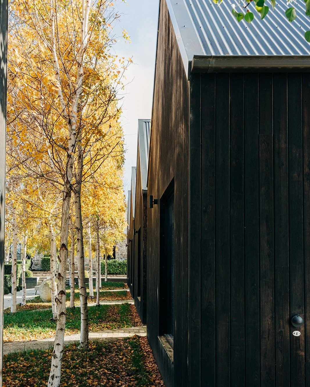 A winter escape at The Sir George looks a little like this... 🍂
Crisp country air, a cosy barn, and everything you need to unwind.

Book your stay via the link in our bio.