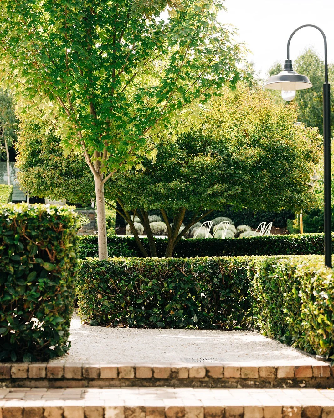 Slow weekends at The Sir George involve wandering through our gardens and then settling in with hearty food and a glass of local wine. 🍷

Book a table via the link in our bio.

#RuralNSW #CountryNSW #Jugiong #Countryside