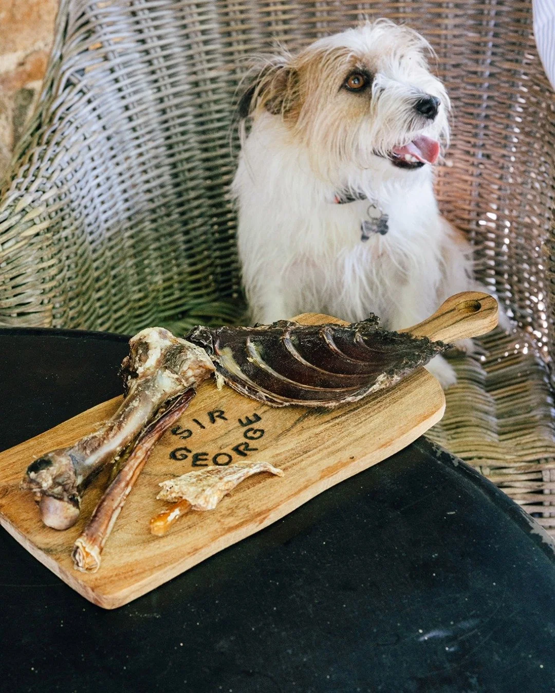 No need to leave your best friend behind.🐾 Every member of the family can enjoy The Sir George.

Discover our A La Bark Menu online via the link in our bio.

#RuralNSW #CountryNSW #Jugiong #Countryside #CountryPub #WinterWeekend #VisitNSW