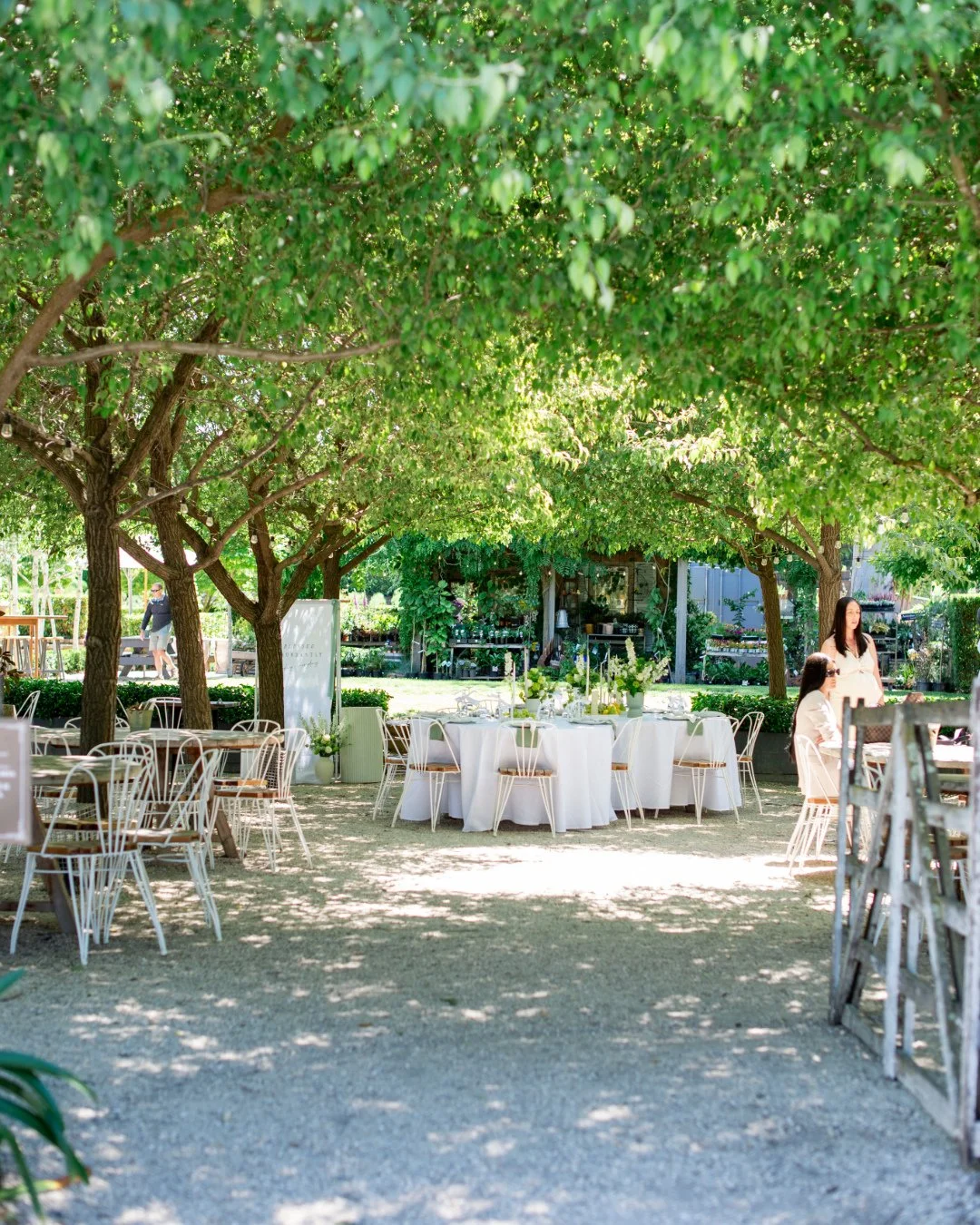 The beautiful avenue of Snow Pears. ⁠
⁠
This space is lined with spectacular snow pear trees, prized for their three seasons of interest. The budding season welcomes a mass of white spring blossoms in late winter to spring, followed by glossy green l