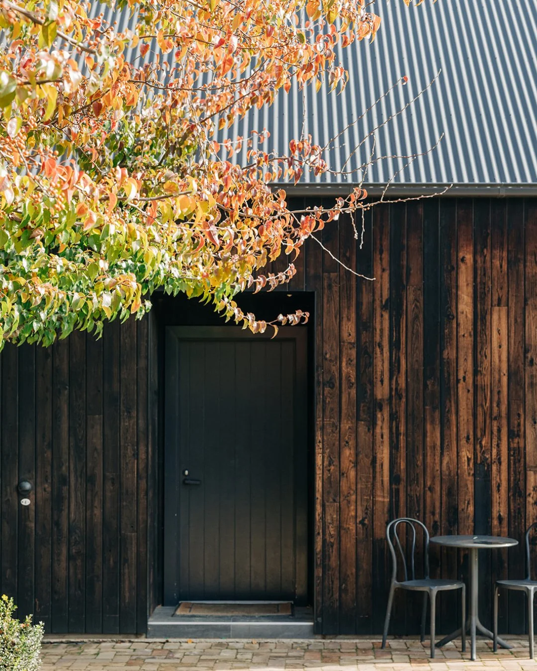 Did you know we have two pet-friendly Black Barns available to book? Don&rsquo;t leave your best mate behind, bring them along for the getaway. 🐶⁠
⁠
Get in touch with us directly to book our pet friendly accomodation.⁠
⁠
Email: info@sirgeorge.com.au