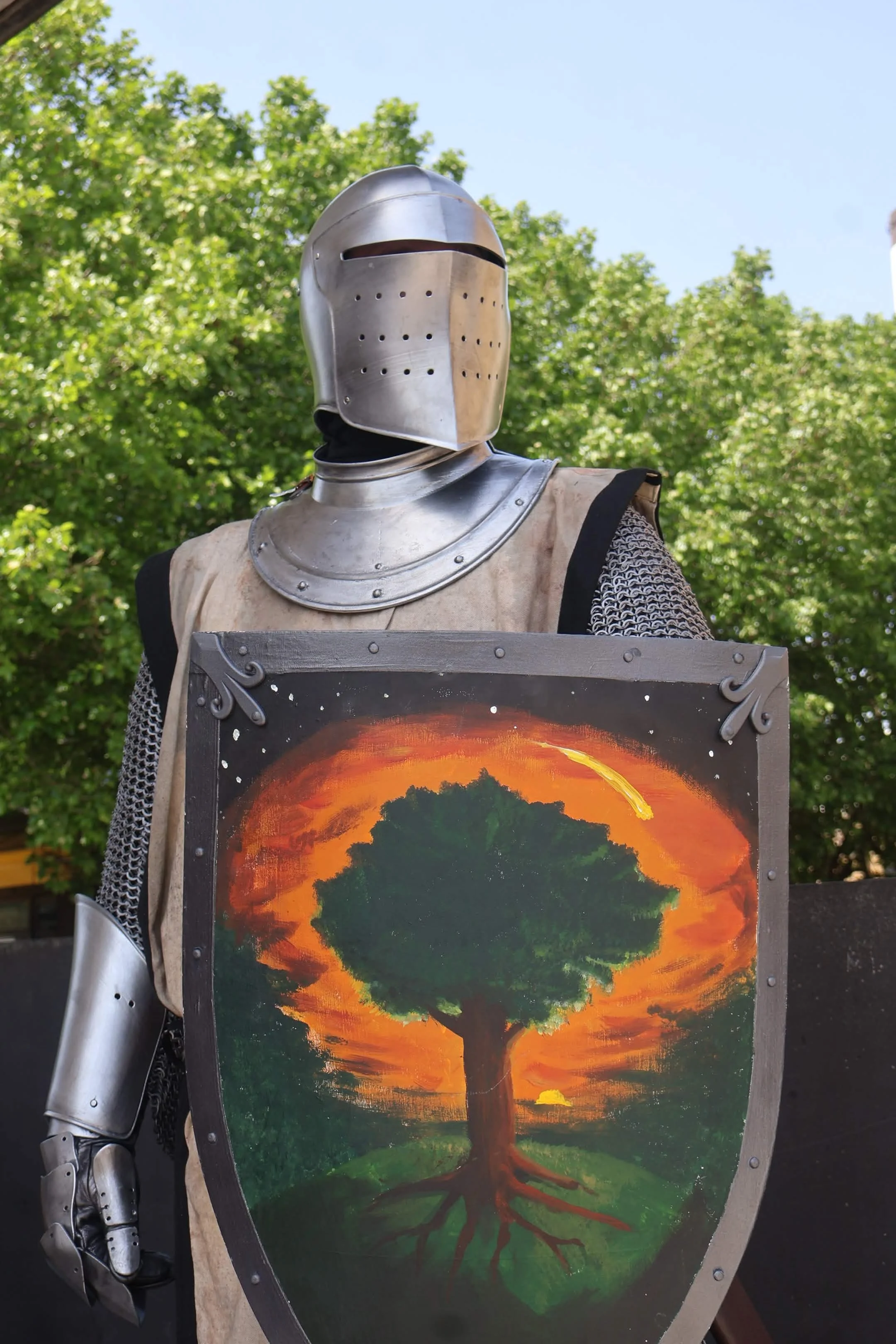 Ser Duncan The Tall