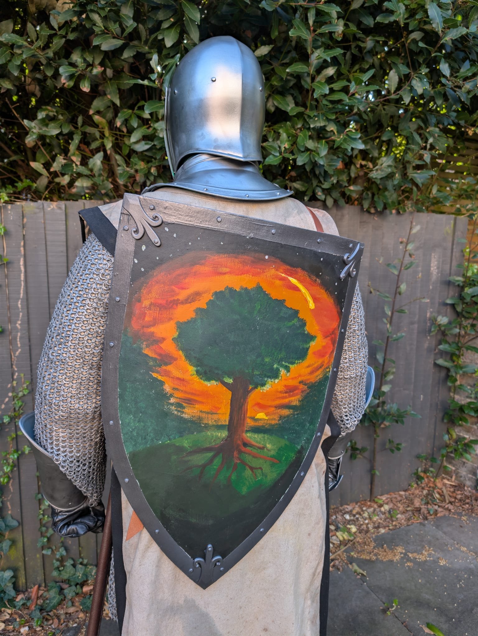 Shield mounted on back