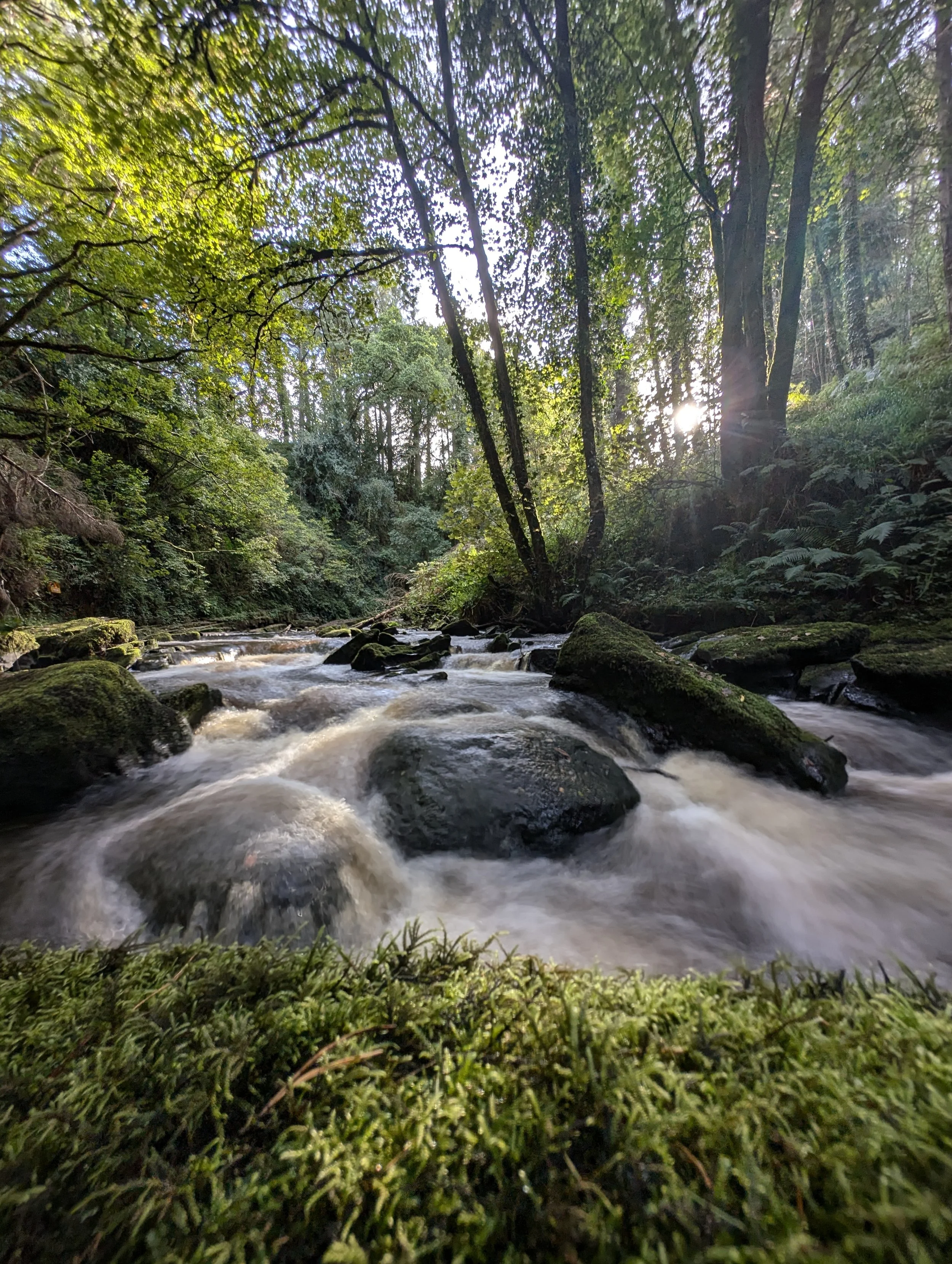 PXL_20250831_080833637.LONG_EXPOSURE-01.COVER.jpg