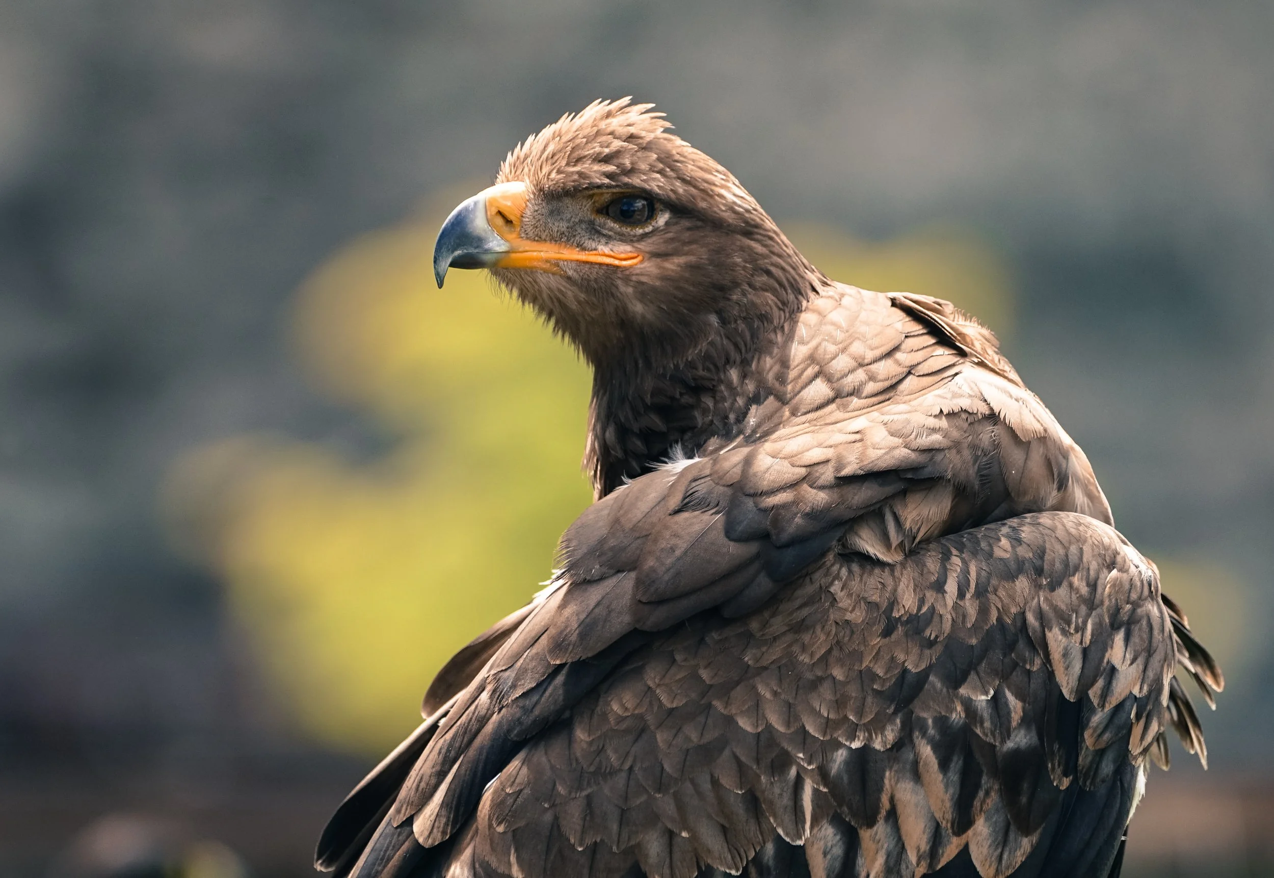 7R200944-2.jpg
