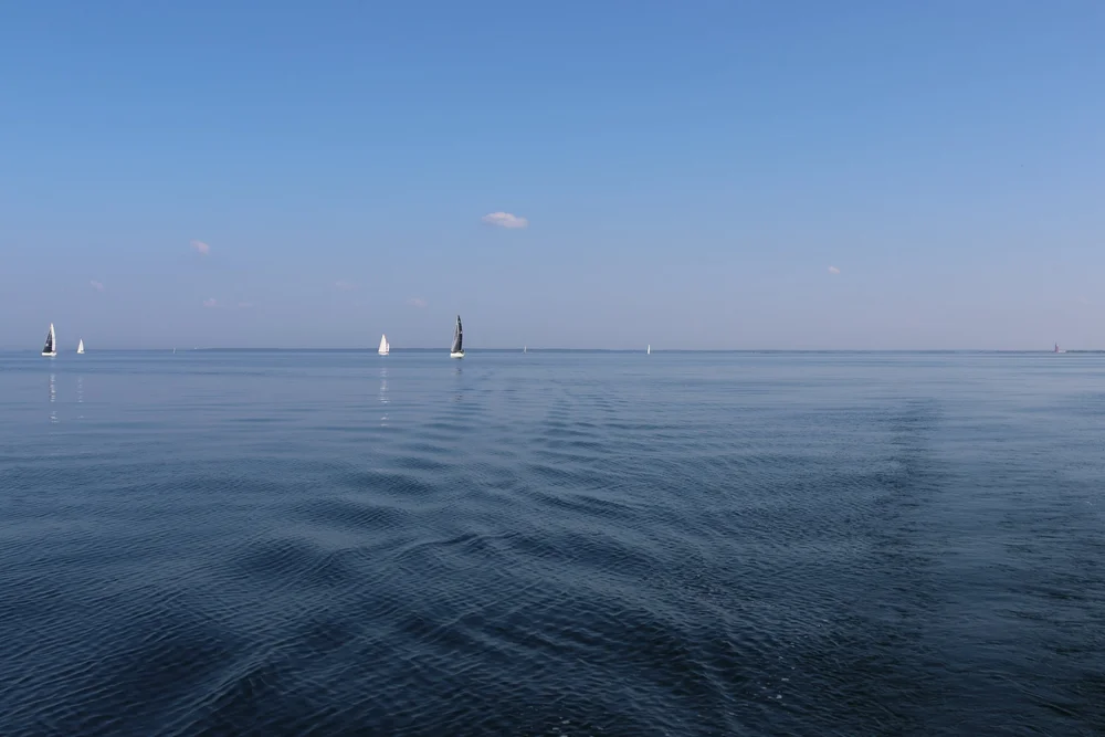  Kuvaaja: Petri Pulli 