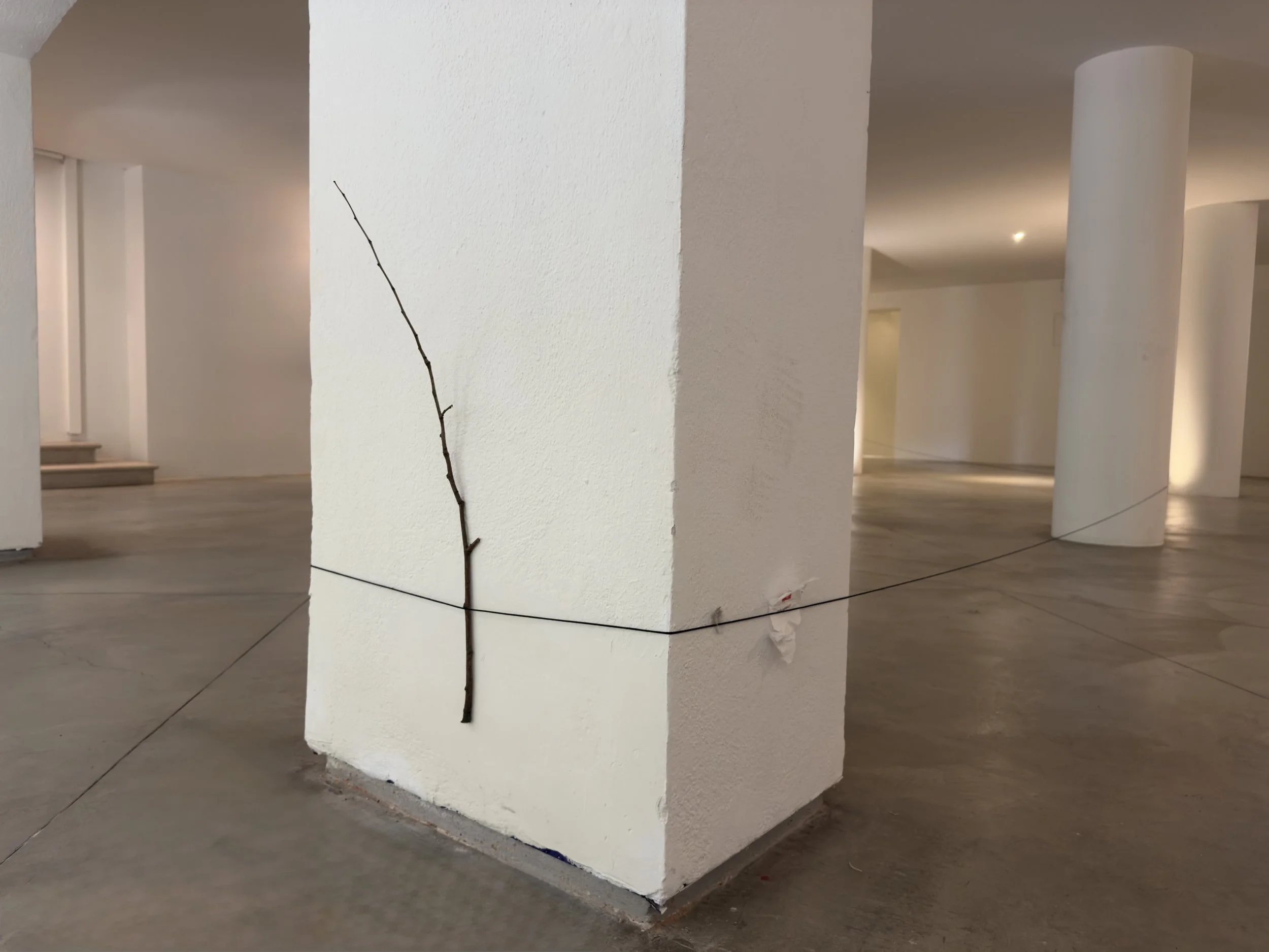 2026 Basement (group). British Pavilion, Venice, Italy