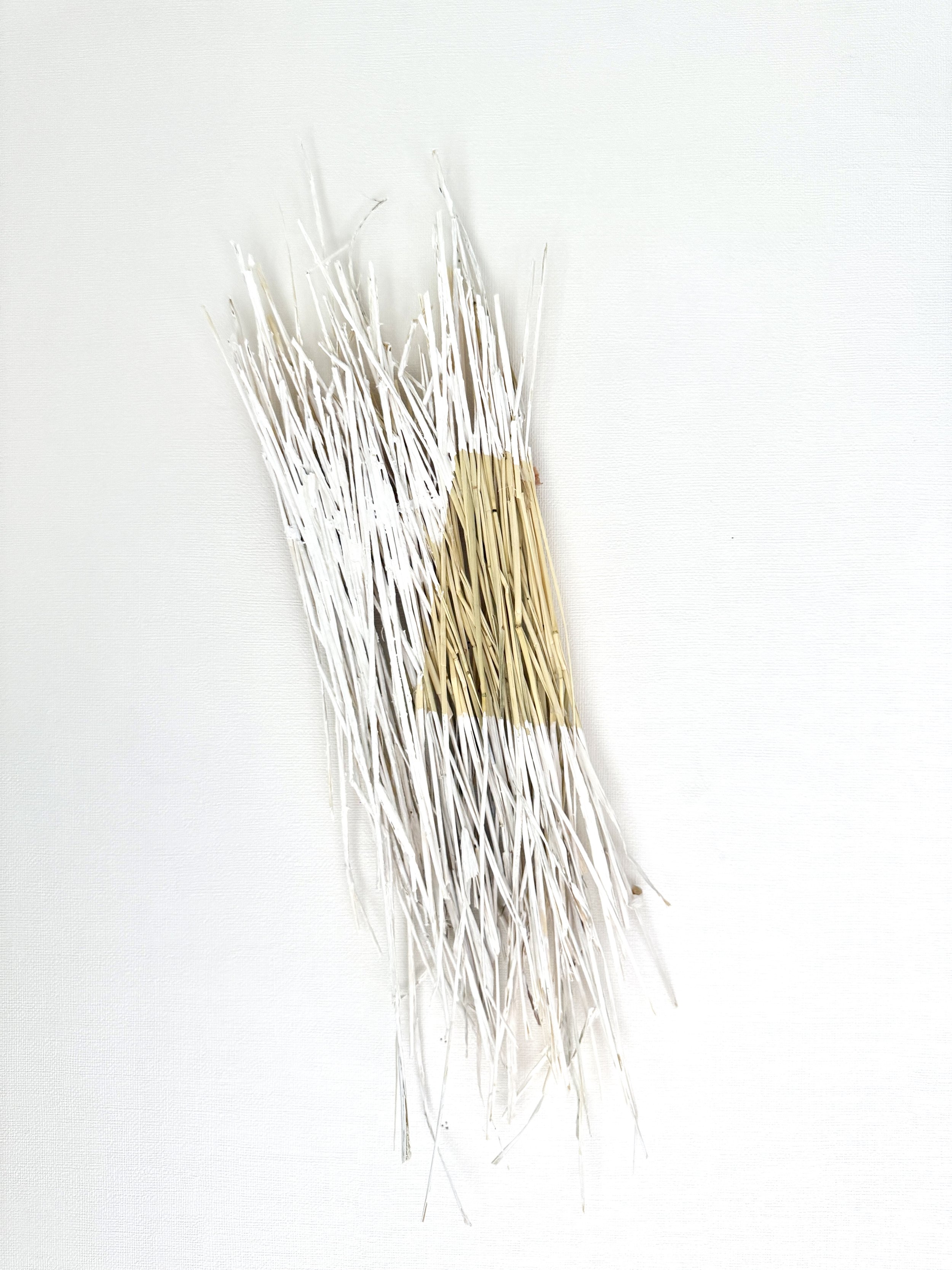 Unnaturally Natural Nature, 2025

Grass hay, acrylic, and wood
45 x 15 cm | 17.2 x 5.9 in