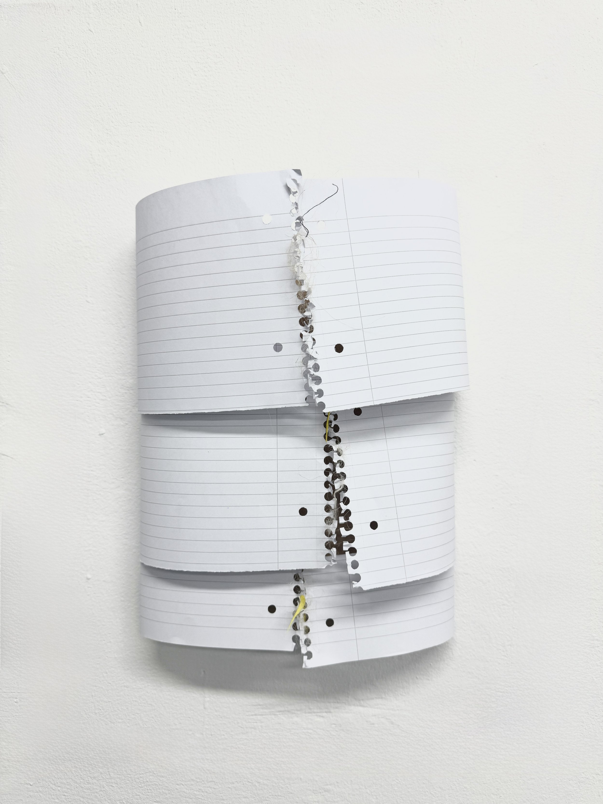 Delicate Agreement, 2025

Notebook paper, wood, cotton, wool
45 x 25 cm | 17.2 x 9.8 in