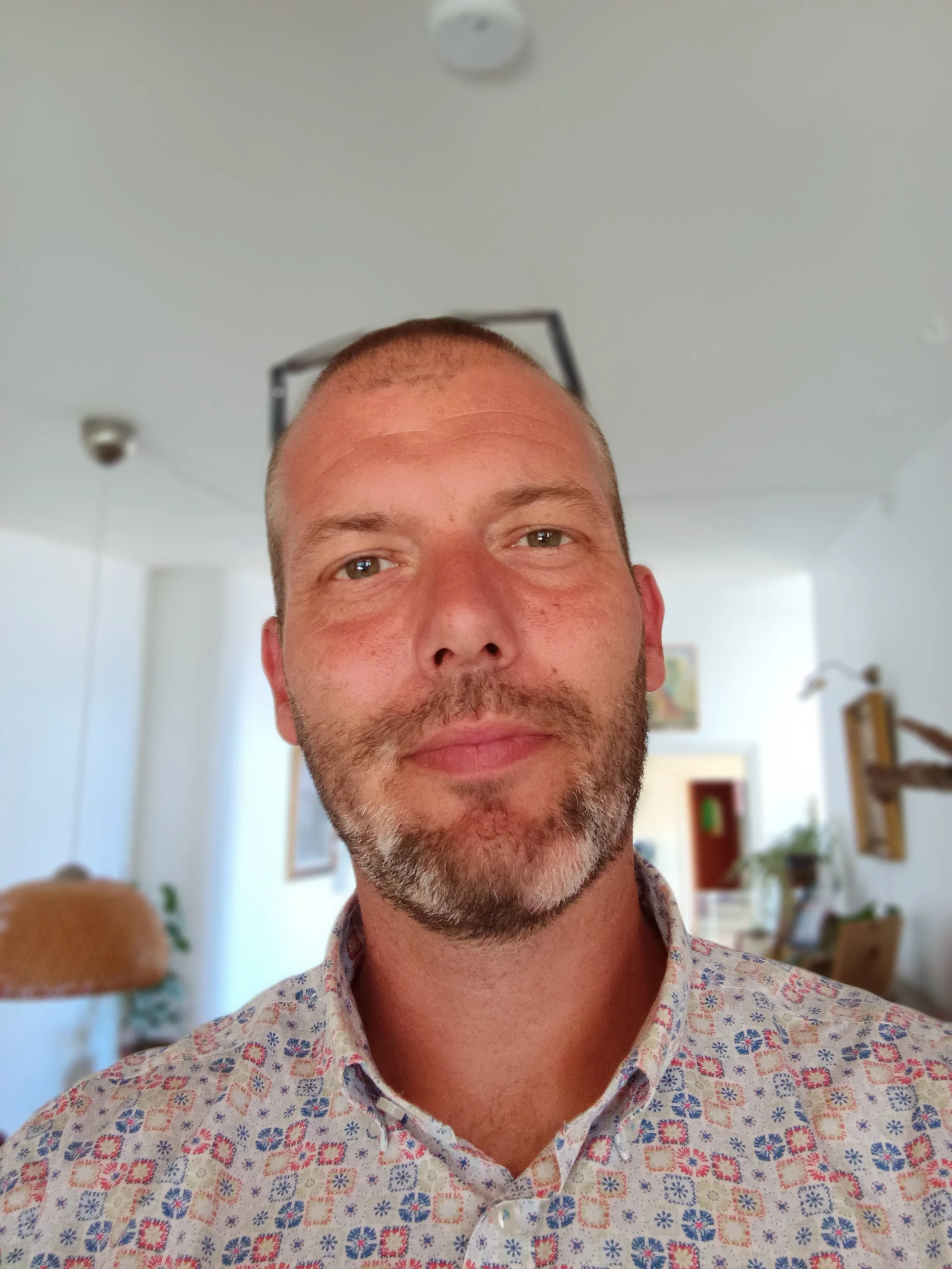 Bare sådan fyrre