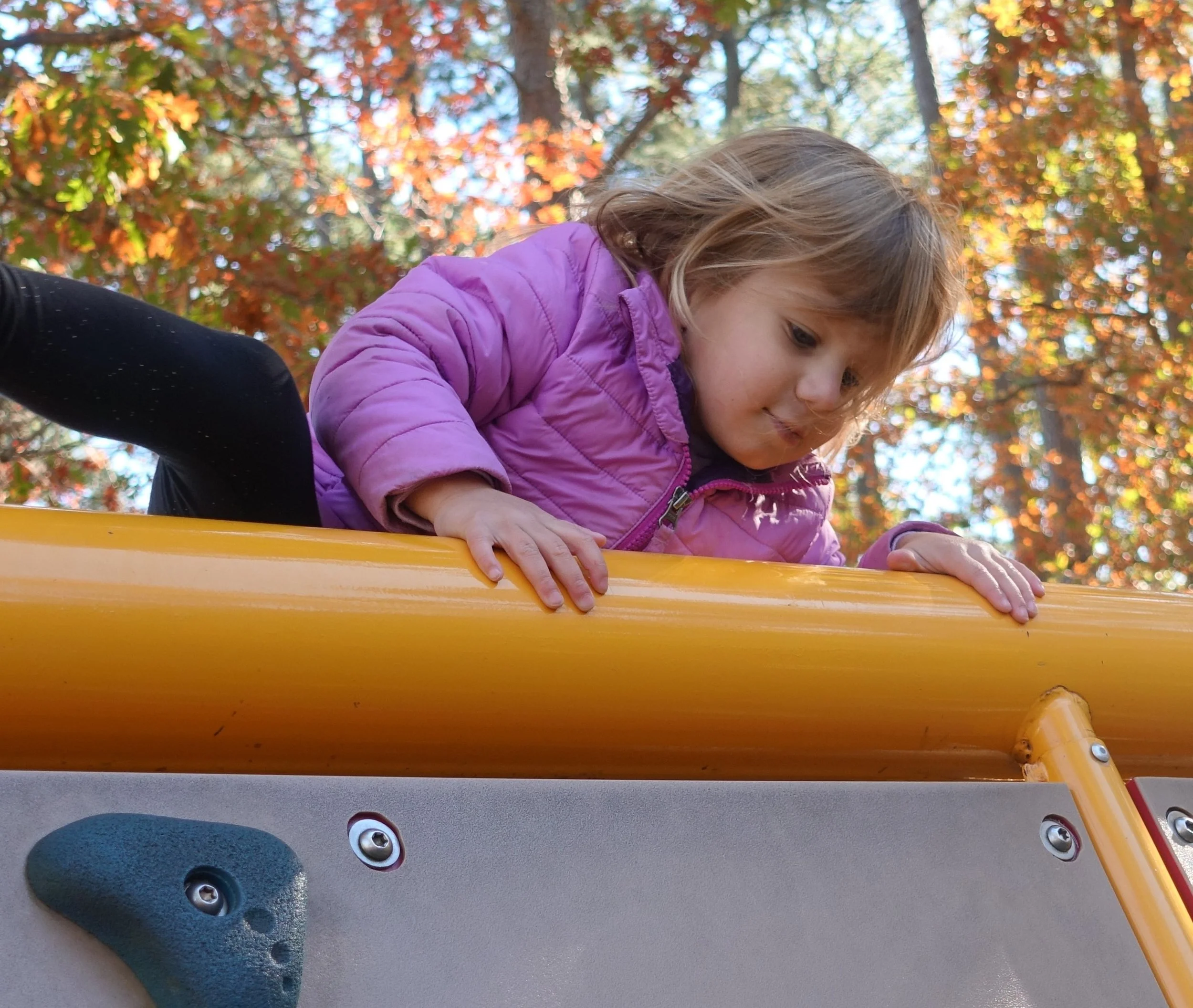 rock-climb-financial-plan-kid-climbing-wall-with-trees-in-background