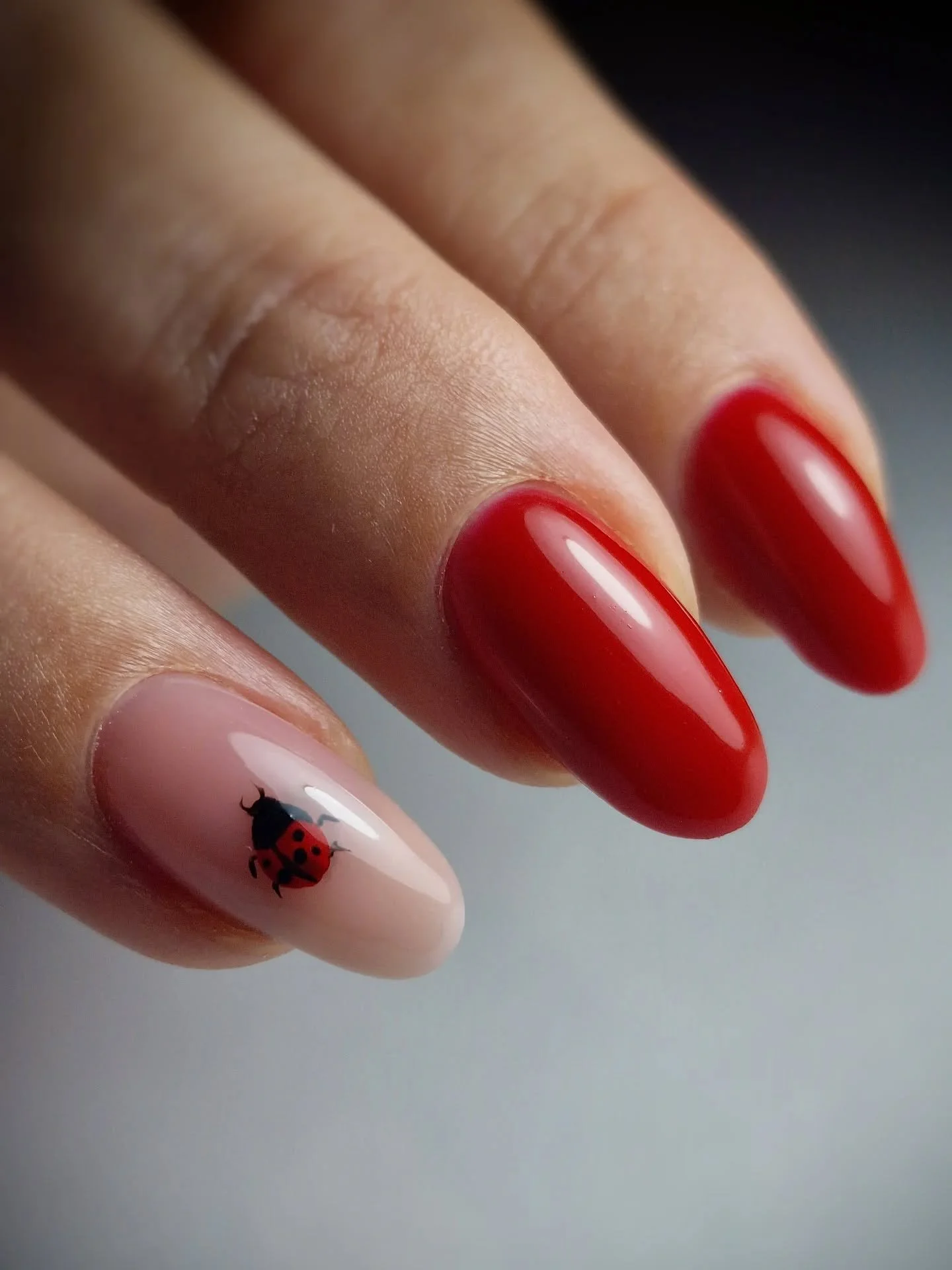 Een set met een prachtig verhaal er achter. In mijn salon wil ik dat je je veilig voelt en vertrouwd! En soms worden er verhalen verteld die dicht bij het hart liggen. 

Ik vind het enorm fijn dat klanten dit met mij willen delen, Zo bouwen wij een b