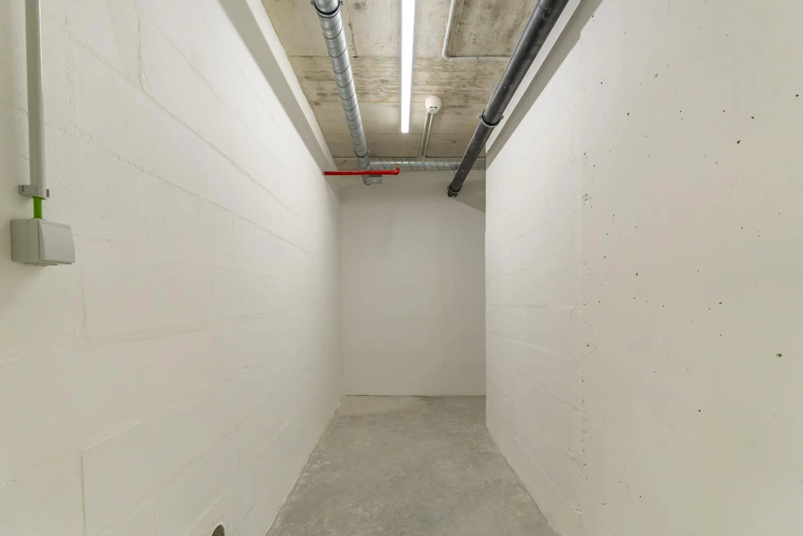 PHOTO-2026-03-10-20-33-23 12.jpg