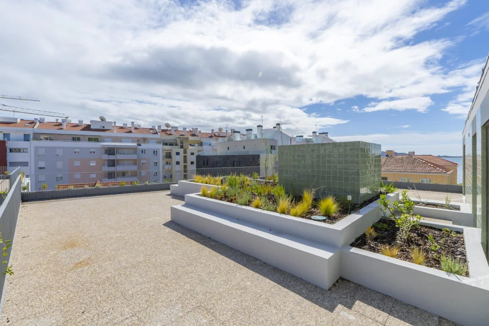 PHOTO-2026-03-10-20-33-23 2.jpg