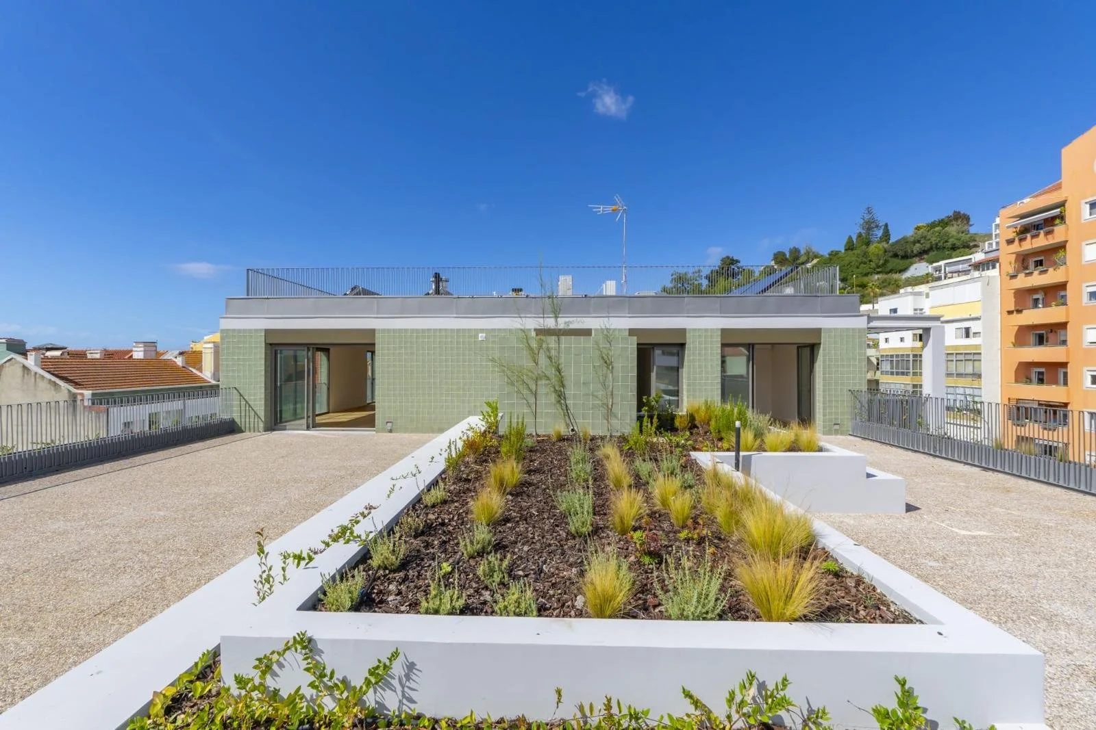 PHOTO-2026-03-10-20-33-23 6.jpg