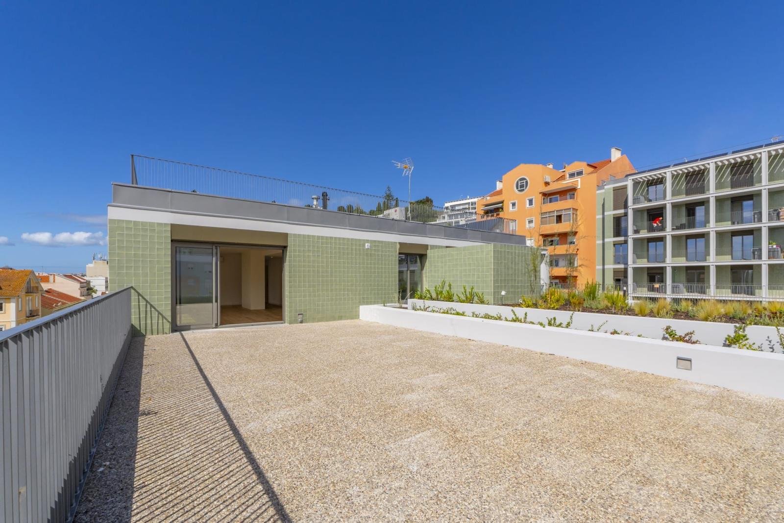 PHOTO-2026-03-10-20-33-23 5.jpg