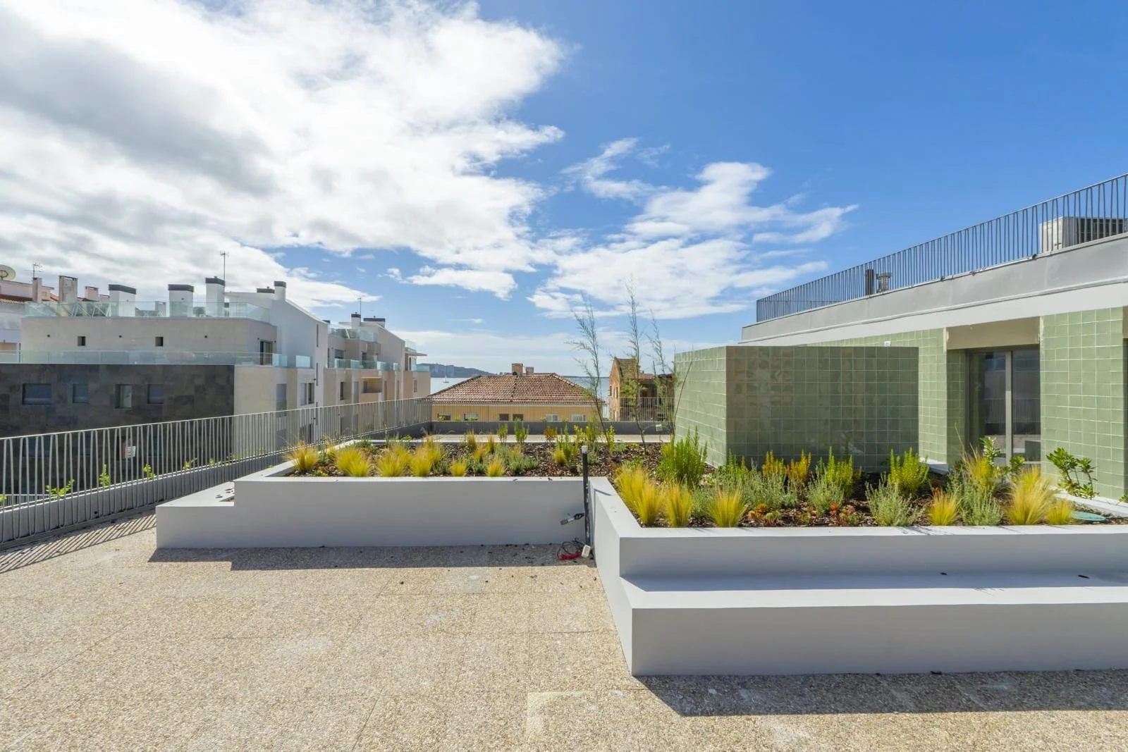 PHOTO-2026-03-10-20-33-23 4.jpg