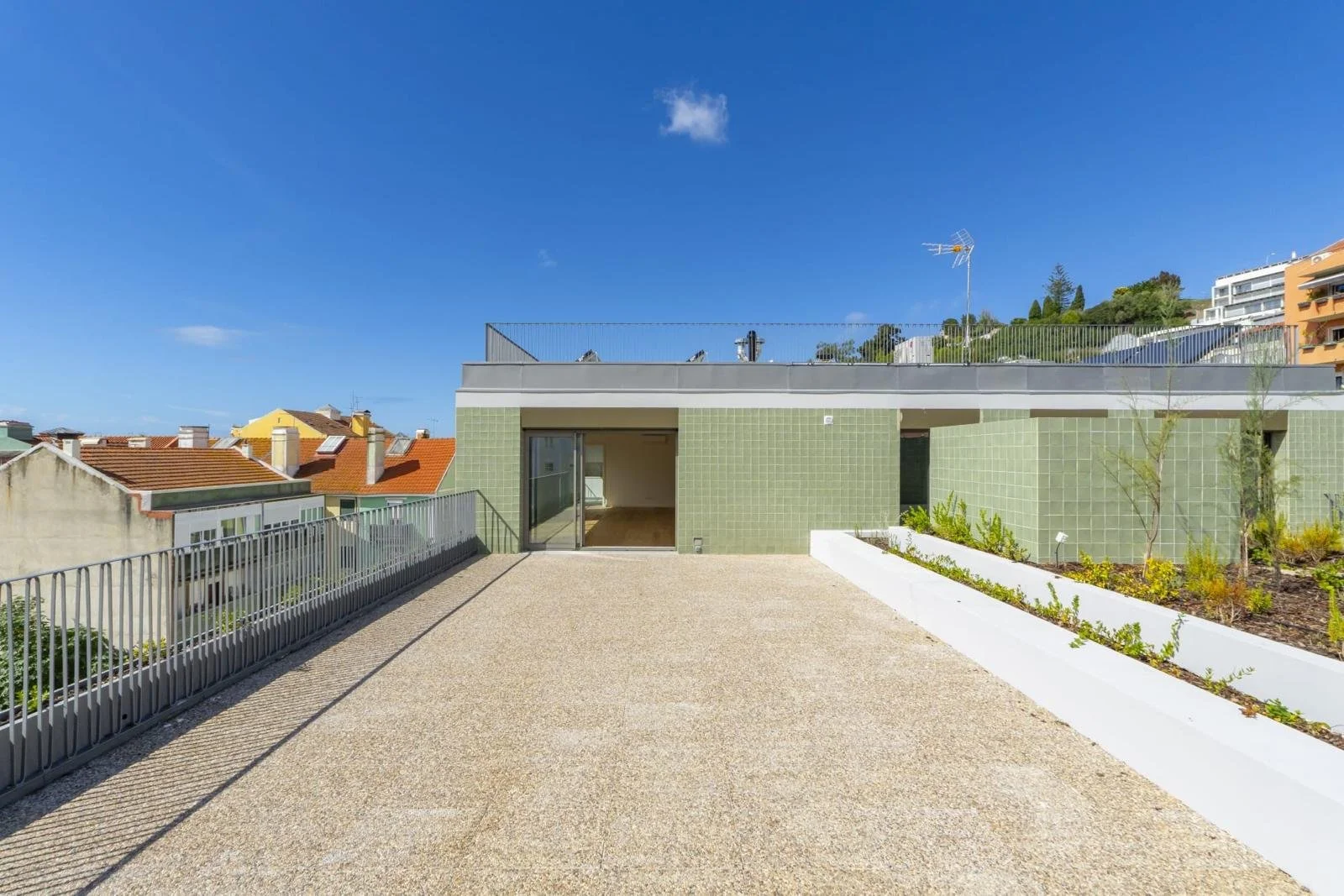 PHOTO-2026-03-10-20-33-23 3.jpg