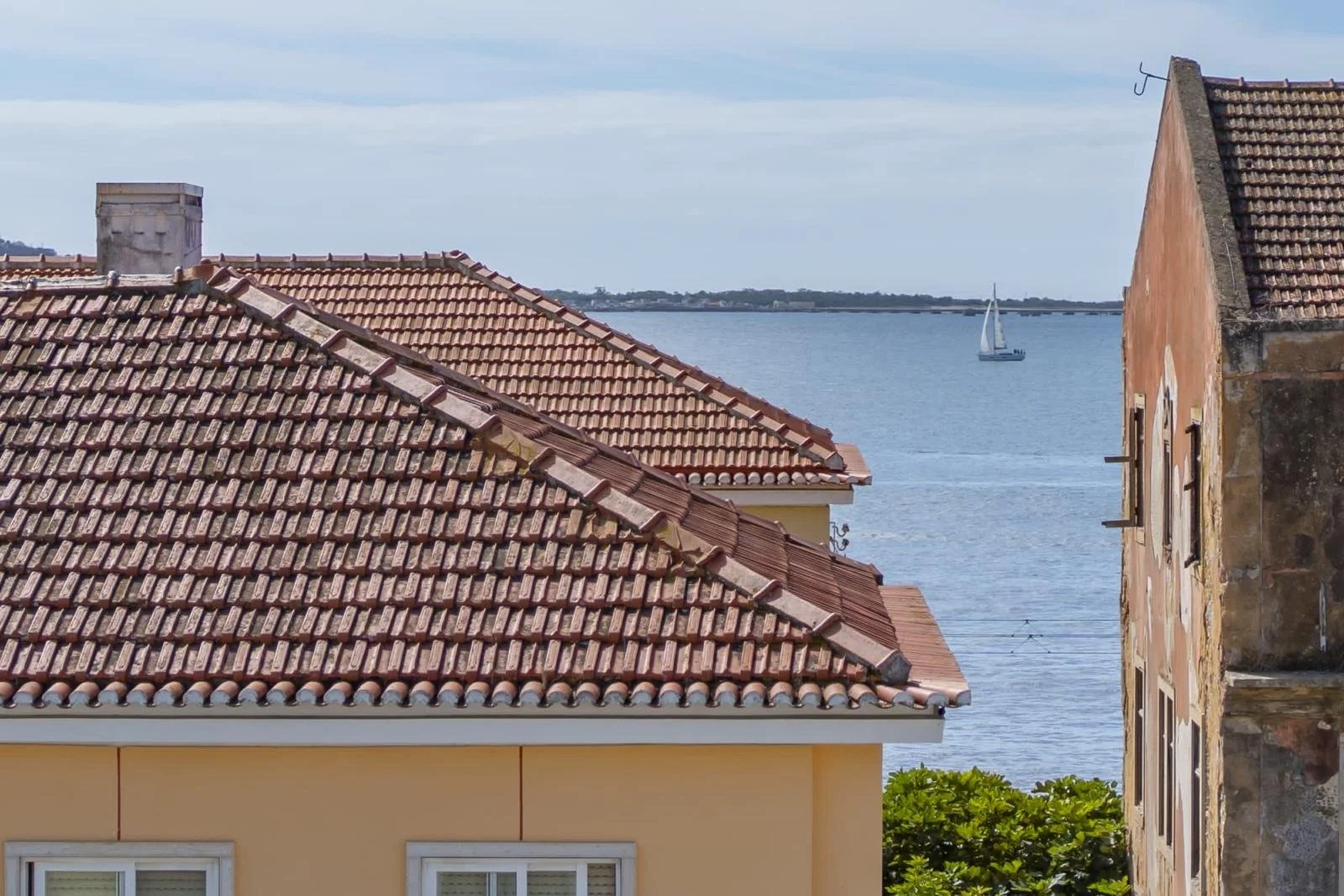 PHOTO-2026-03-10-20-33-24 9.jpg