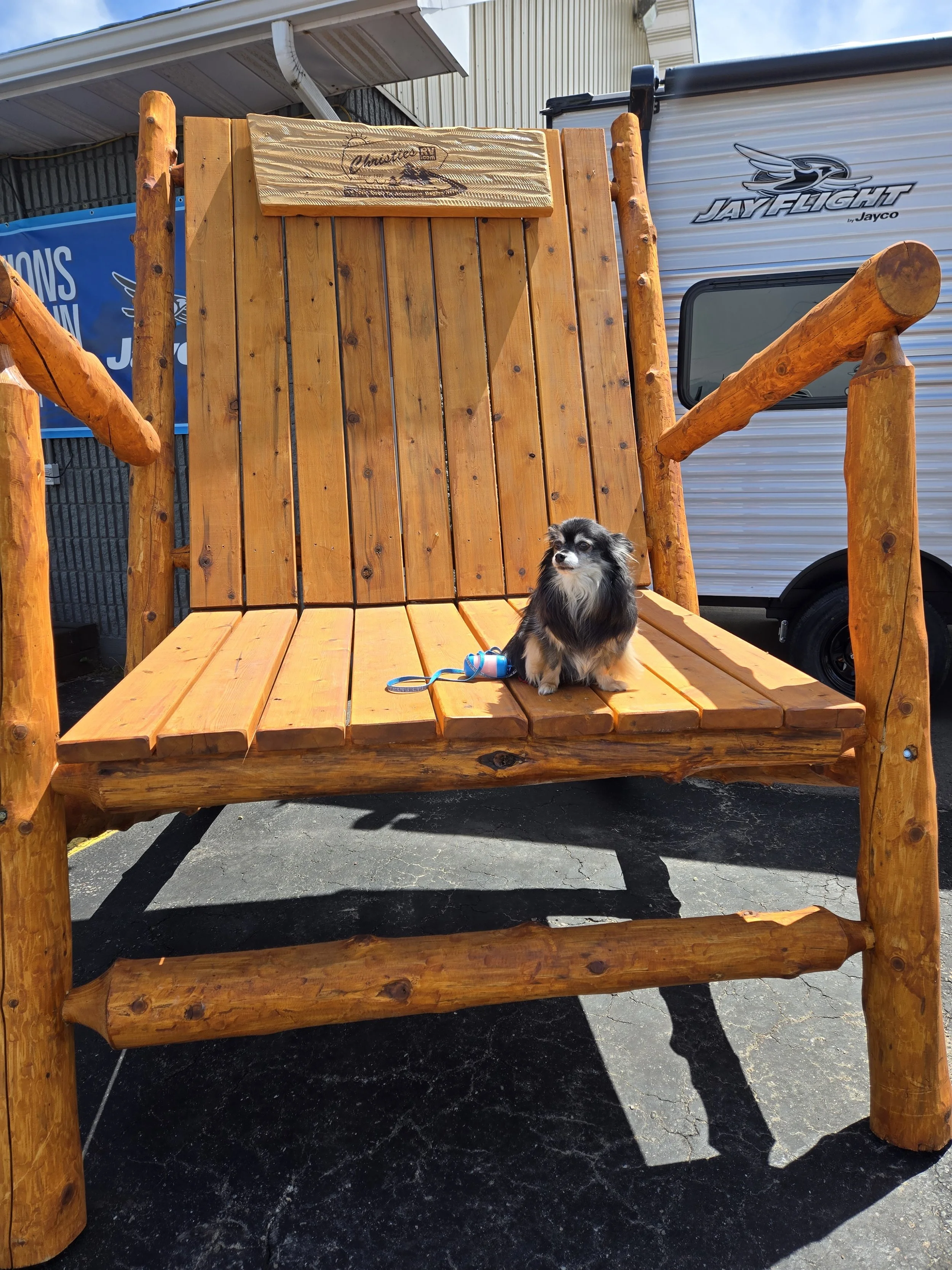 Dog on Giant Muskoka Chair.Christies RV.jpg