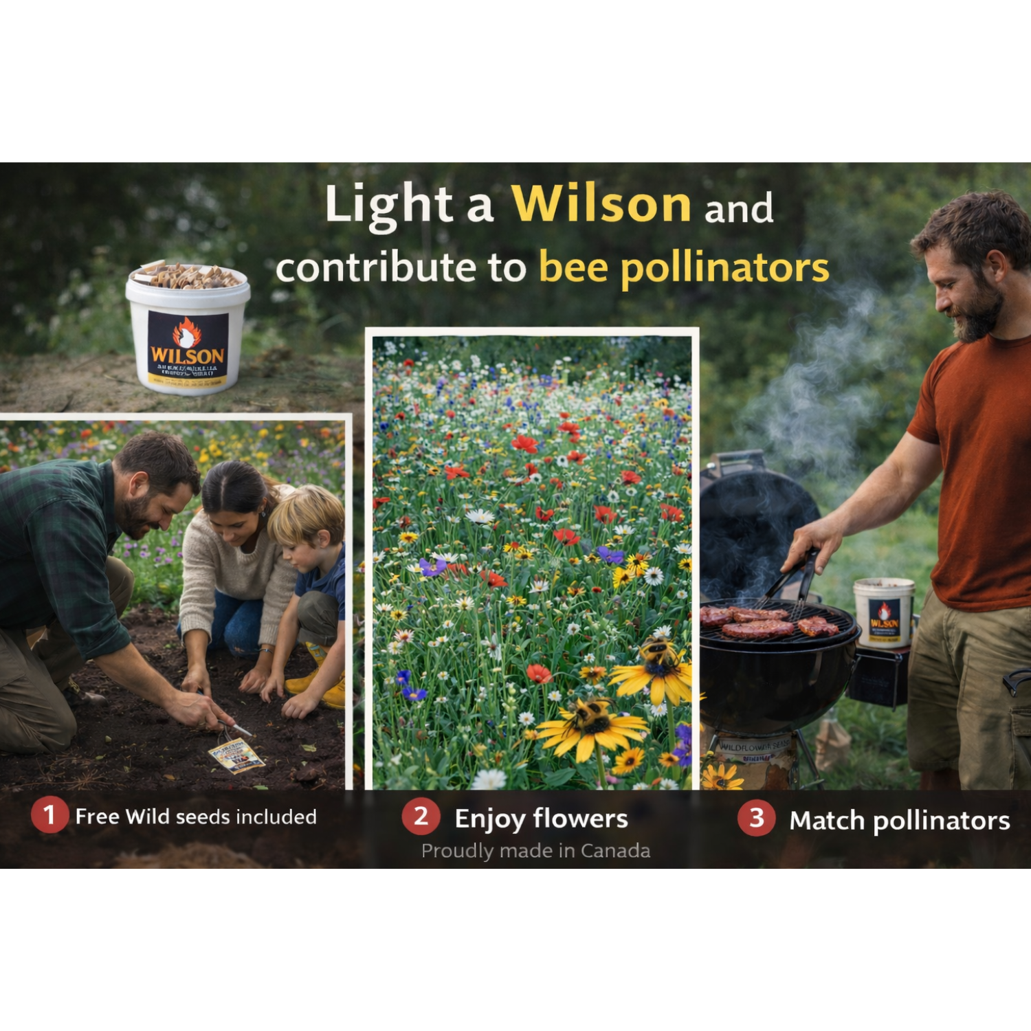 Squarespace Light a Wilson bee pollinators.png