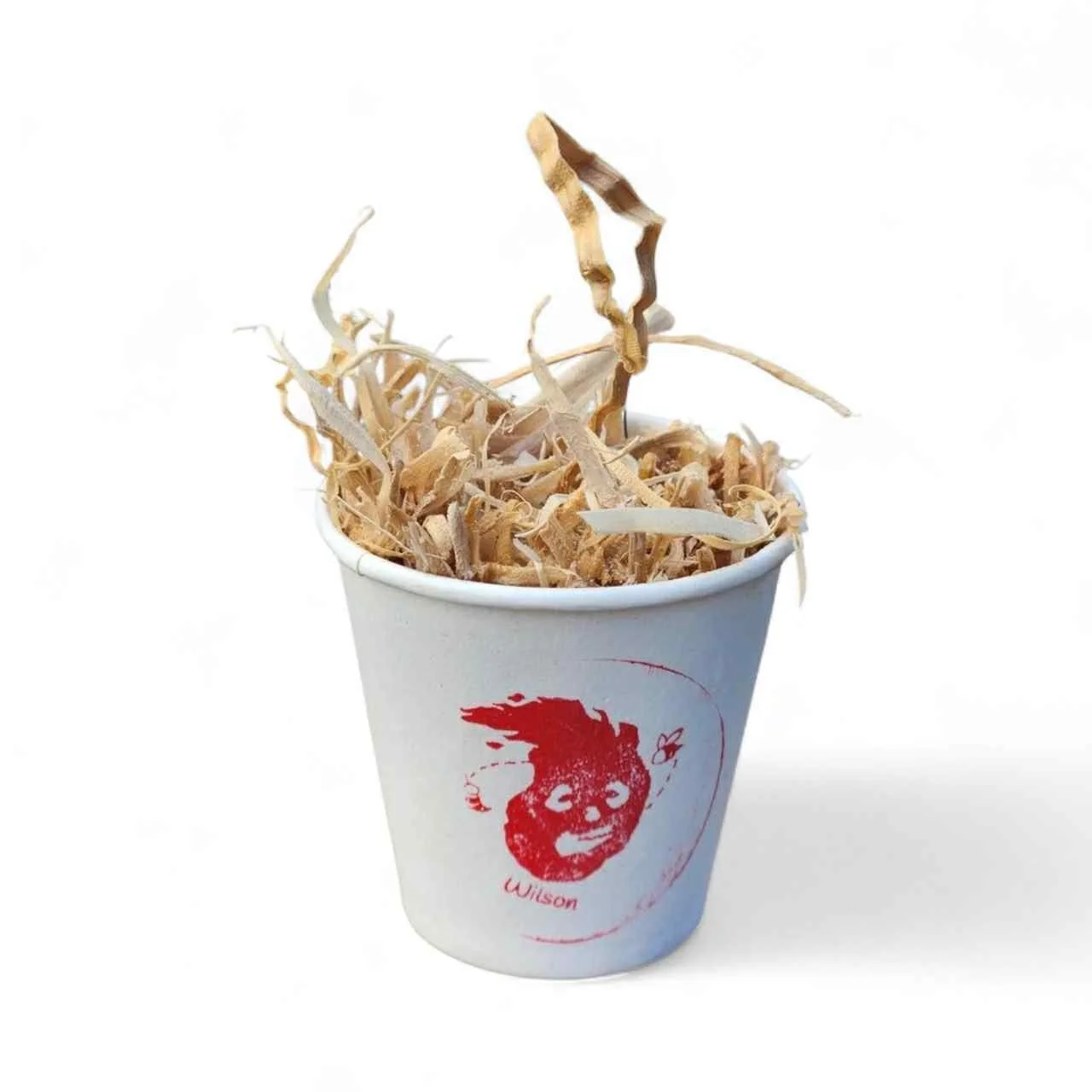 Wilson_Single Image.jpeg