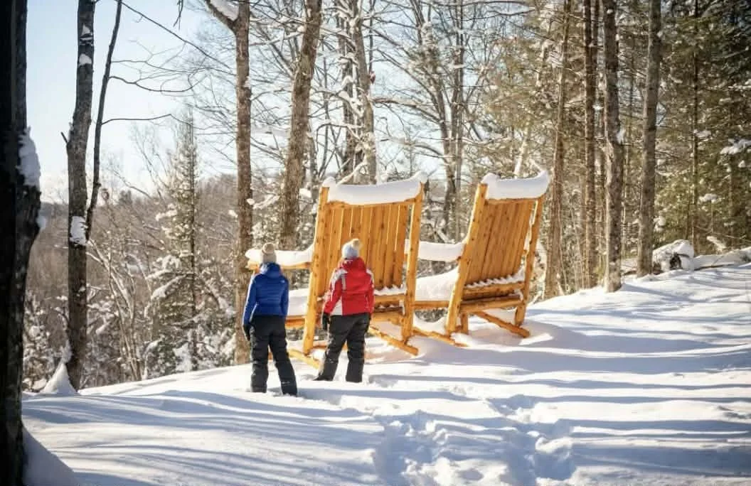 Hikers overlooking scenic - Giant Chair.jpeg