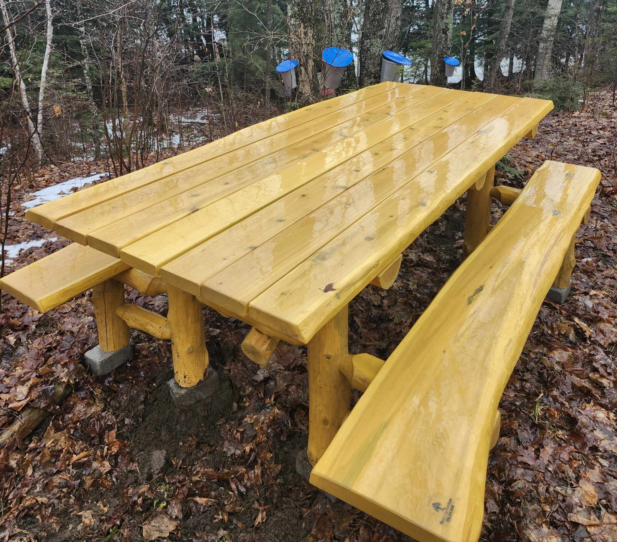 Picnic Table.jpeg