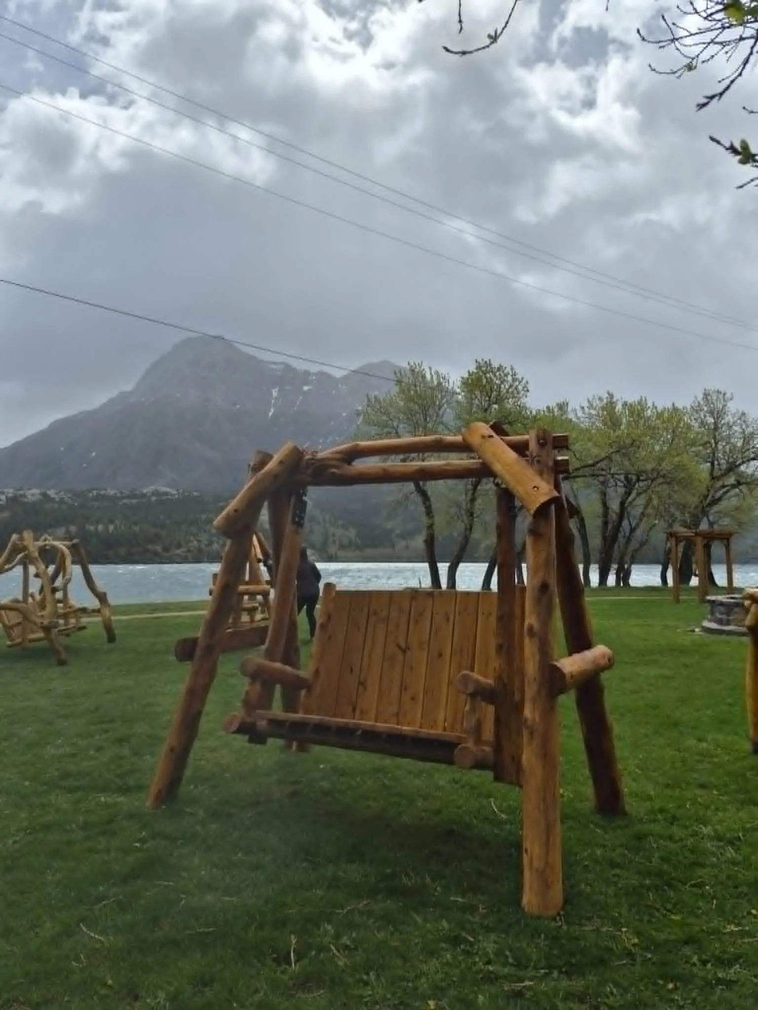 Log Swing Waterton Park -4.jpeg