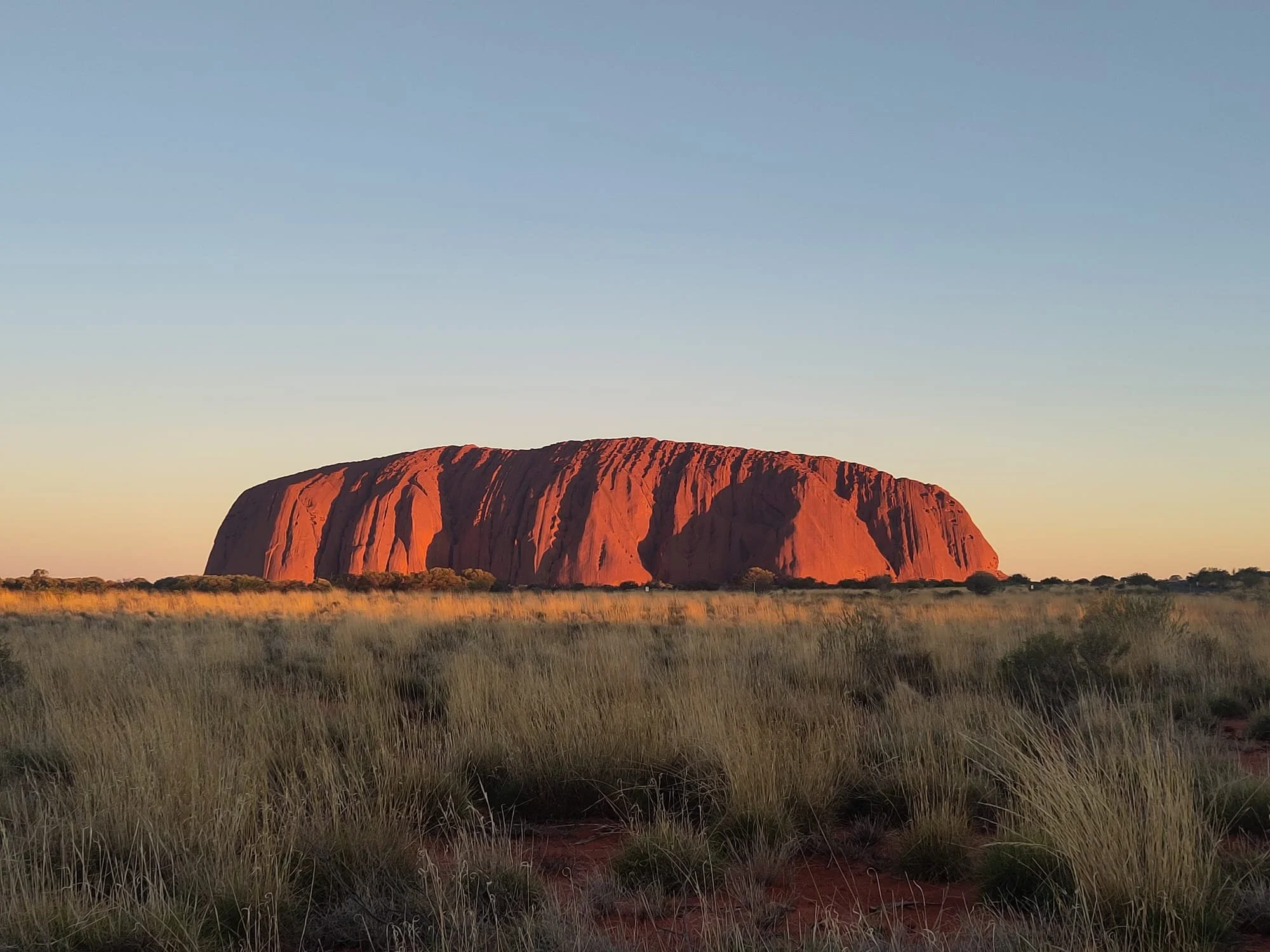 Re-live your past to prepare for the future 