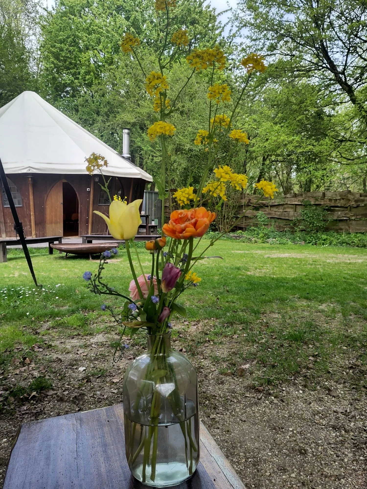 The system power of nature: a second morning in Nature