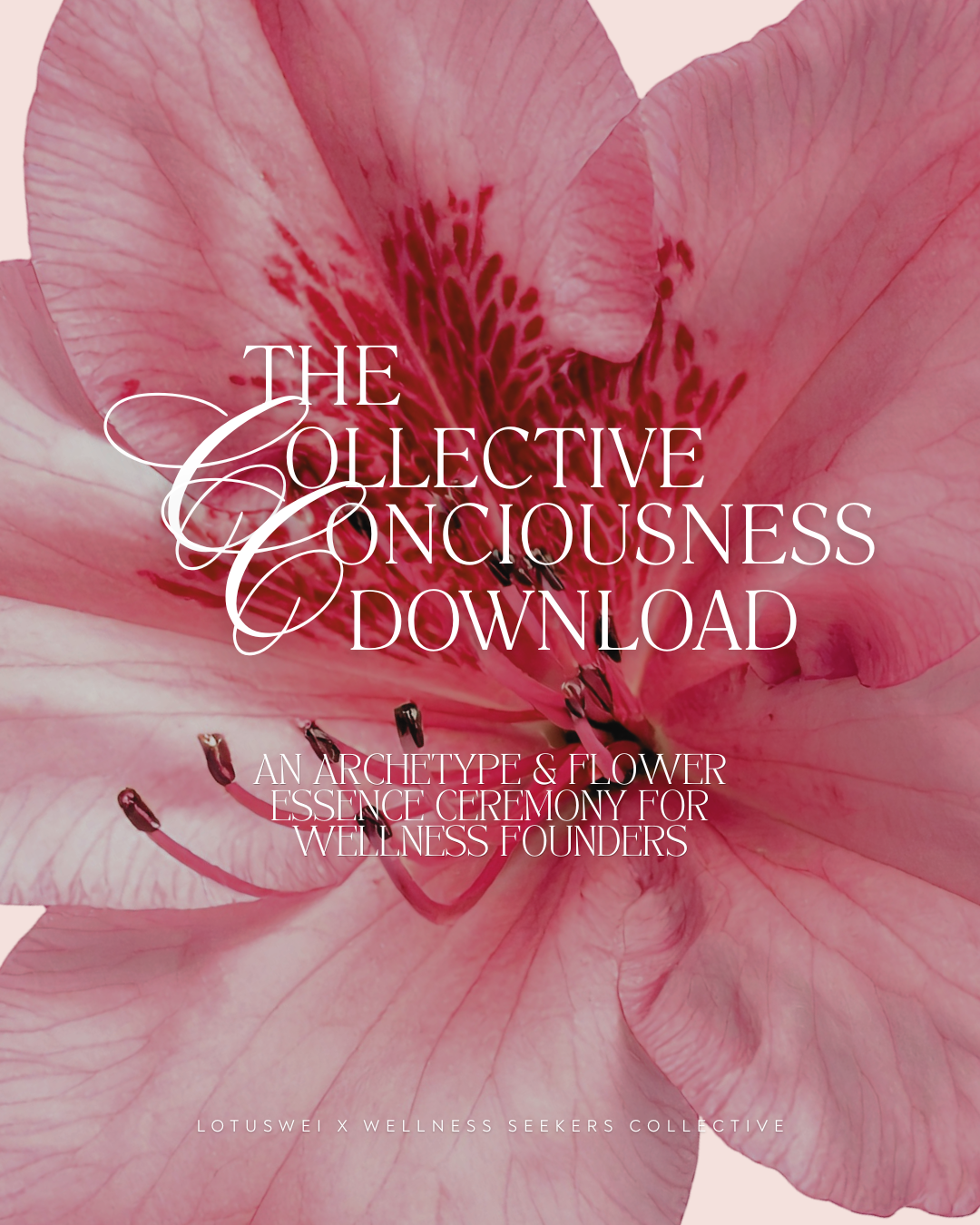 The Collective Consciousness Download