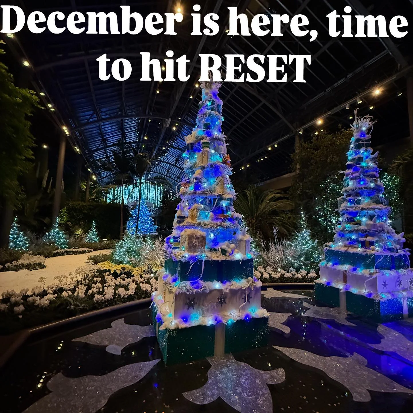 December is here, time to hit RESET. Don&rsquo;t overthink it&mdash;small, consistent steps create big changes. Let&rsquo;s break it down:

1️⃣ Protein First: Every meal, every snack&mdash;fuel your body with the protein it needs to build muscle and 
